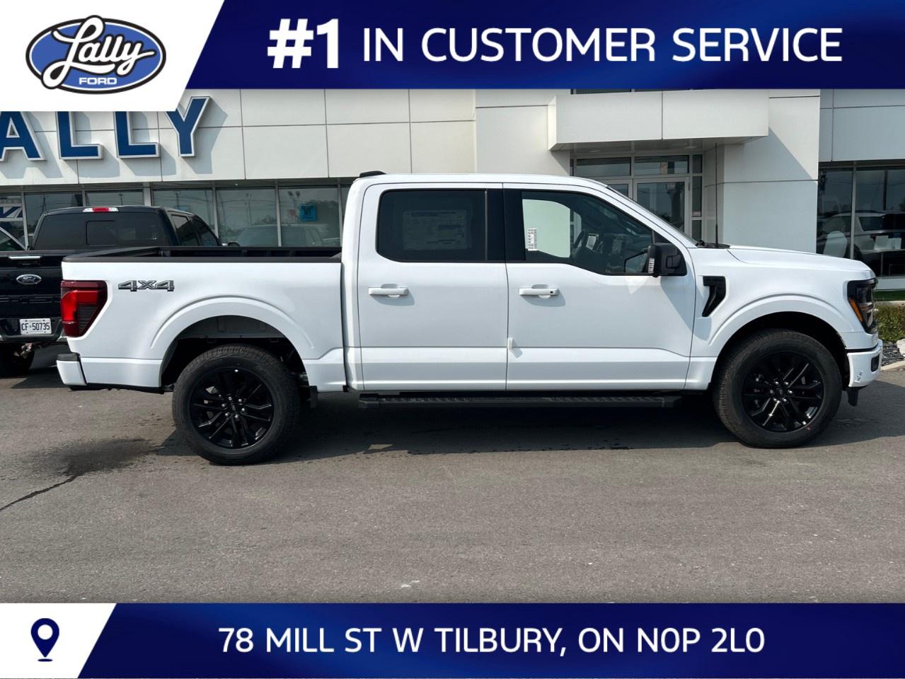 2026 Ford F-150 XLT 4WD SuperCrew 5.5' Box Photo1
