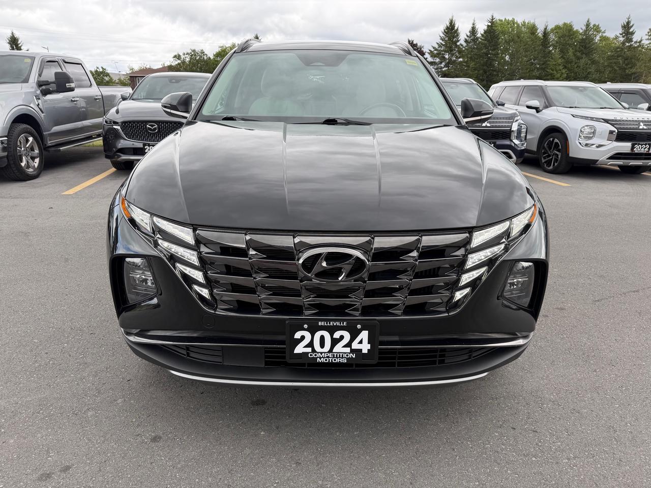 2024 Hyundai Tucson Hybrid  Photo
