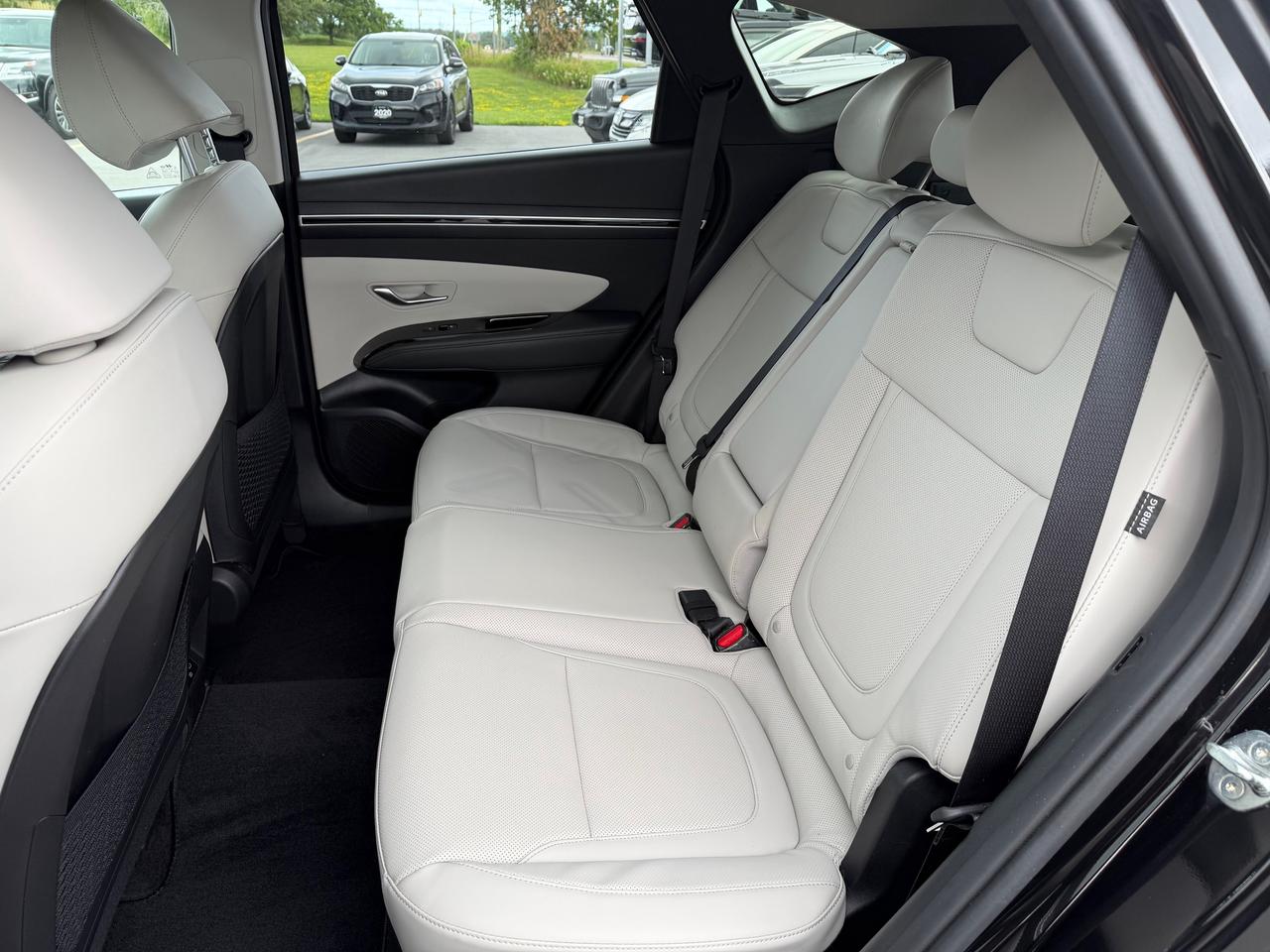 2024 Hyundai Tucson Hybrid  Photo