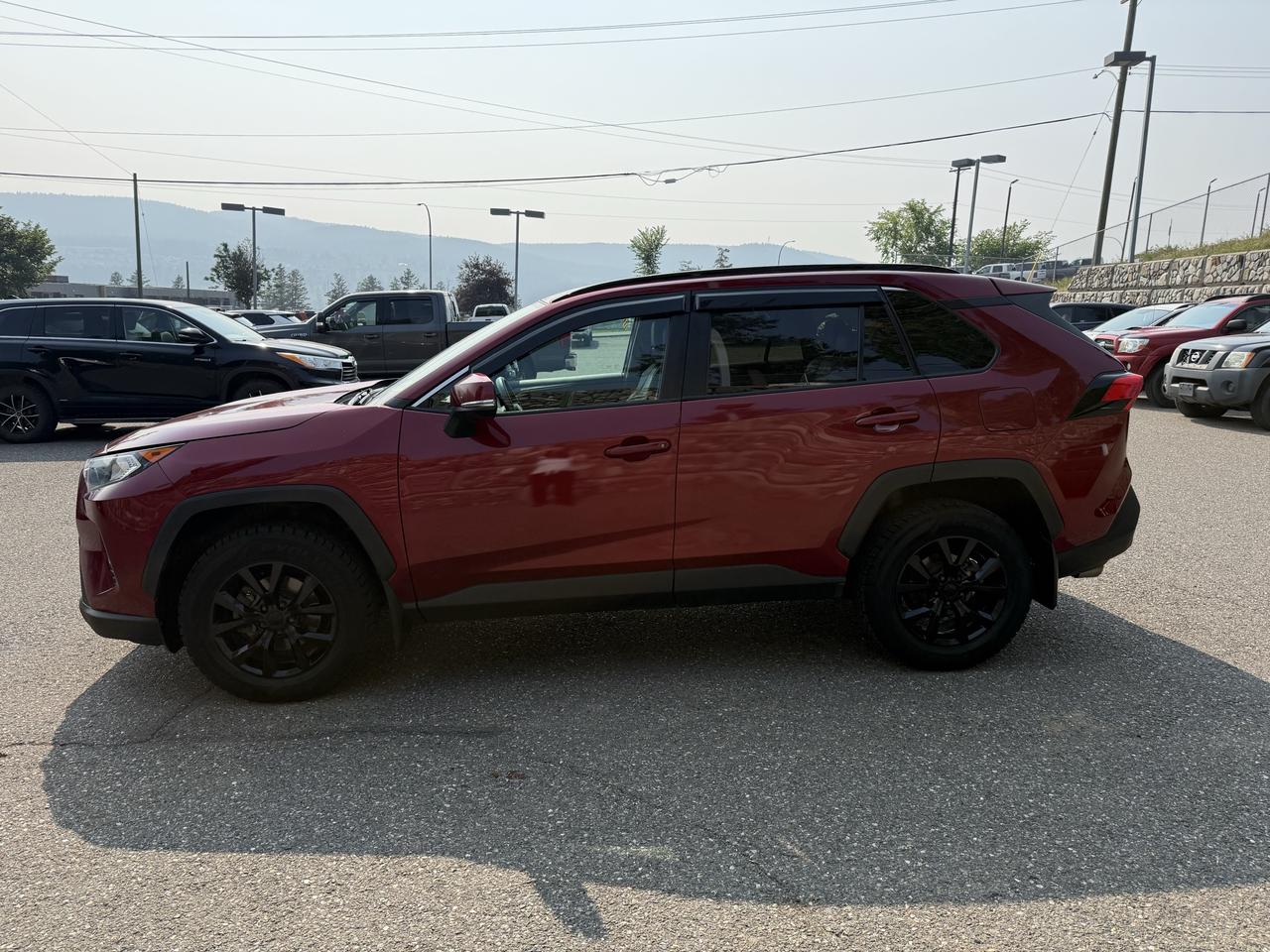 2019 Toyota RAV4 XLE Photo