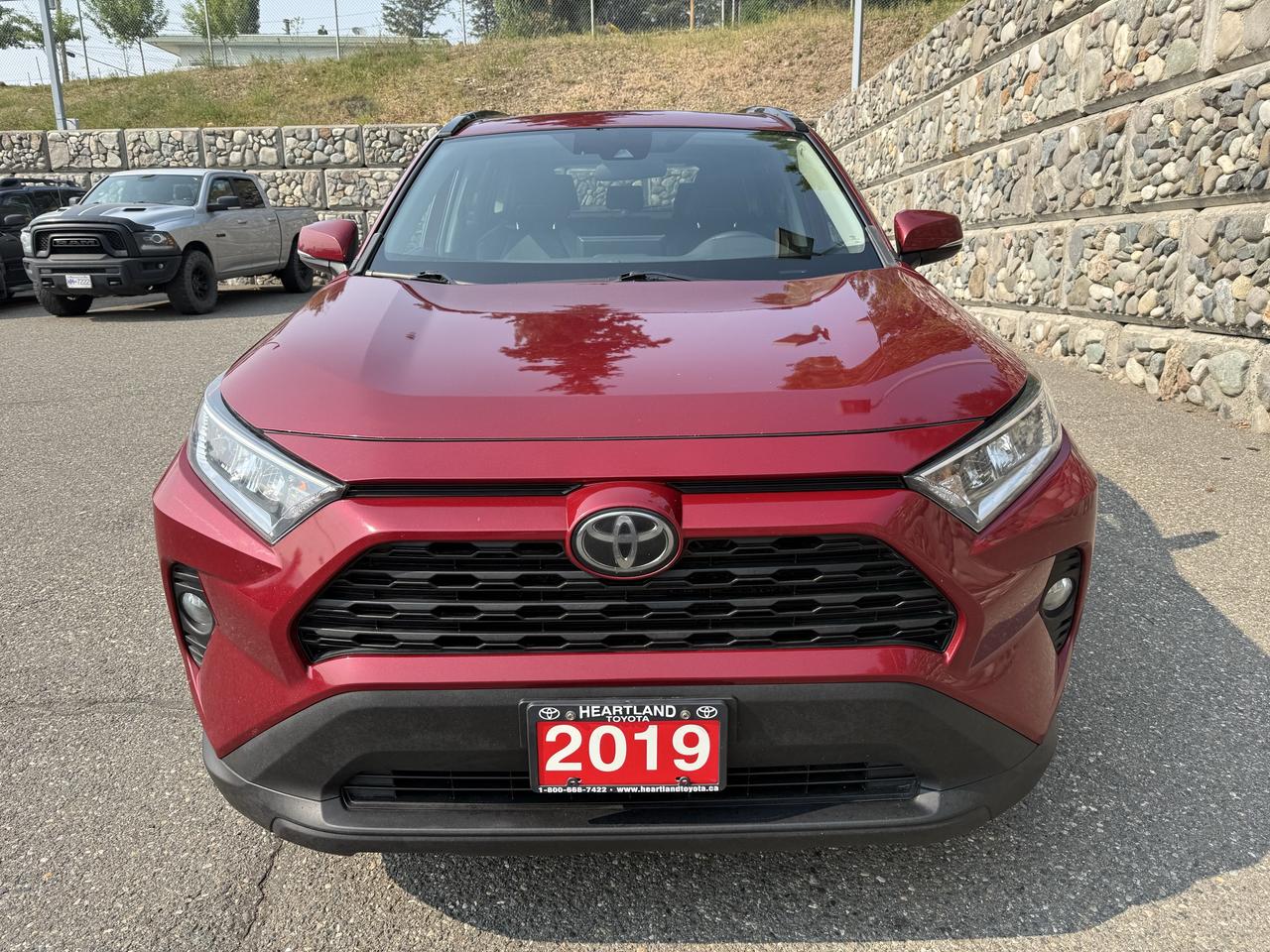 2019 Toyota RAV4 XLE Photo