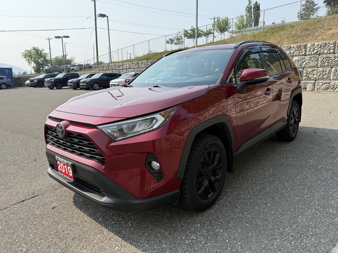 2019 Toyota RAV4 XLE Photo2