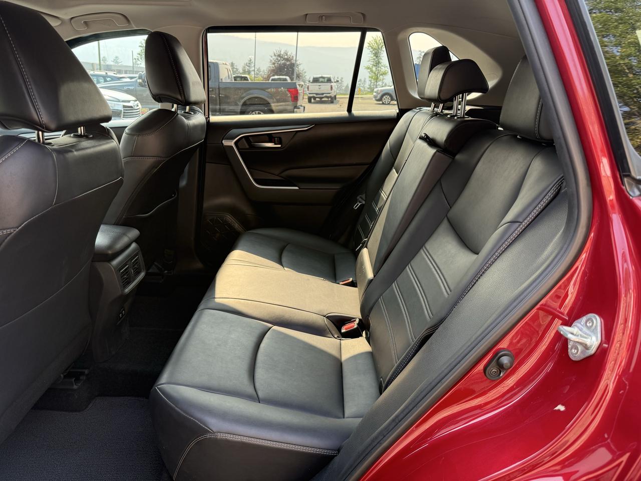 2019 Toyota RAV4 XLE Photo