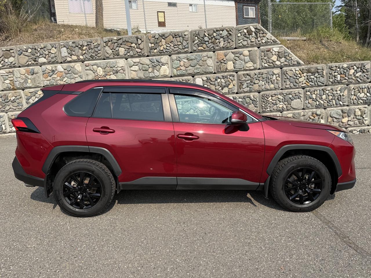 2019 Toyota RAV4 XLE Photo