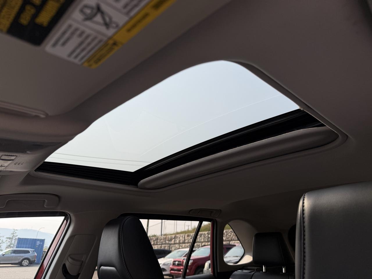 2019 Toyota RAV4 XLE Photo