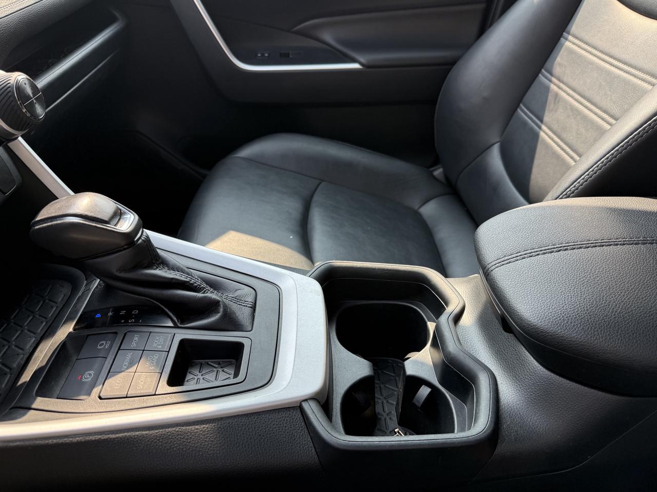 2019 Toyota RAV4 XLE Photo
