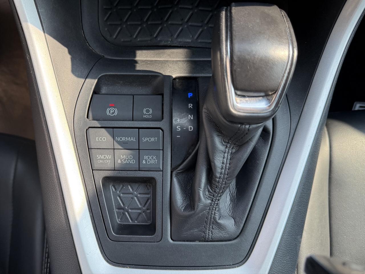 2019 Toyota RAV4 XLE Photo