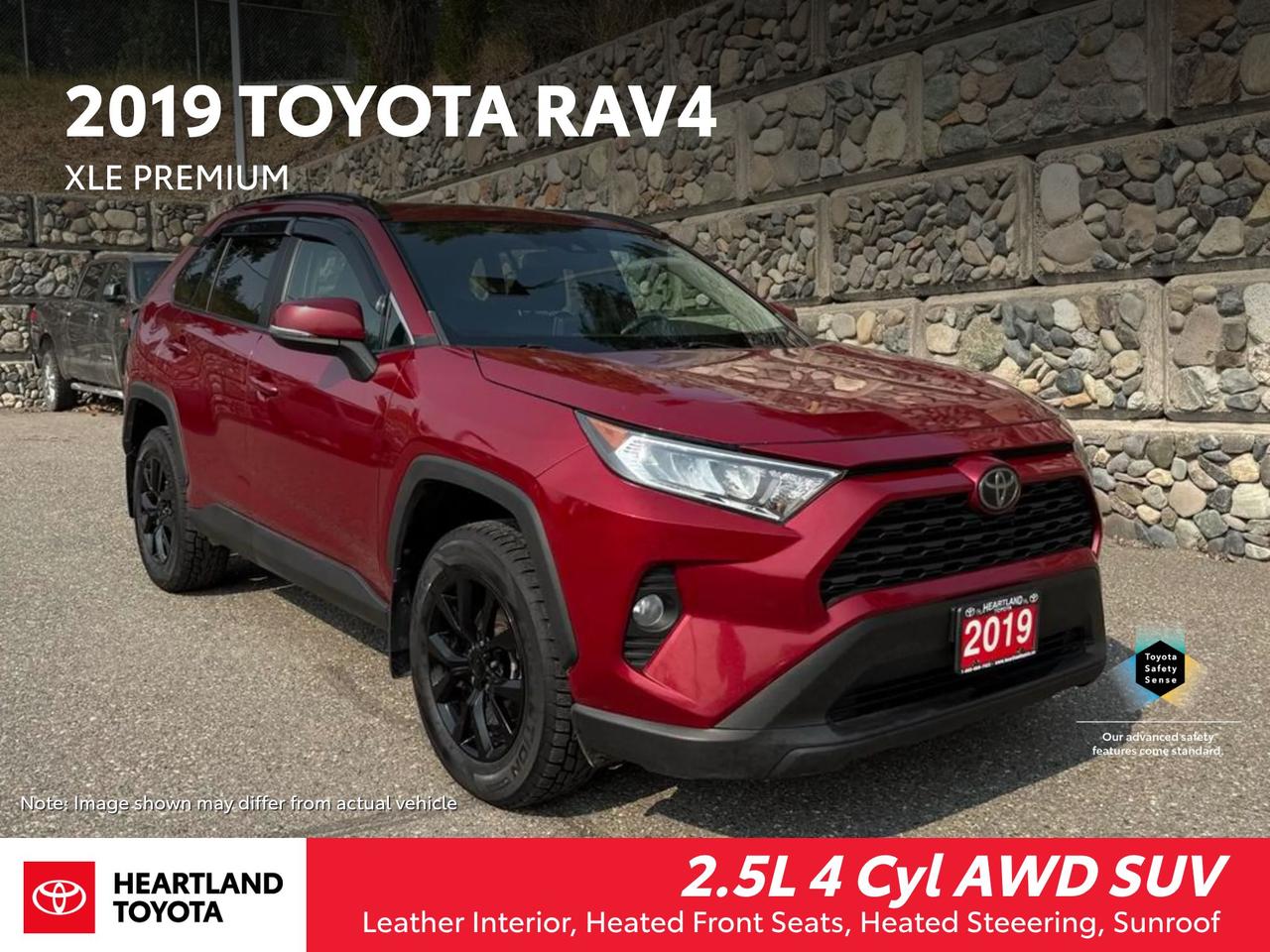 2019 Toyota RAV4 XLE Photo