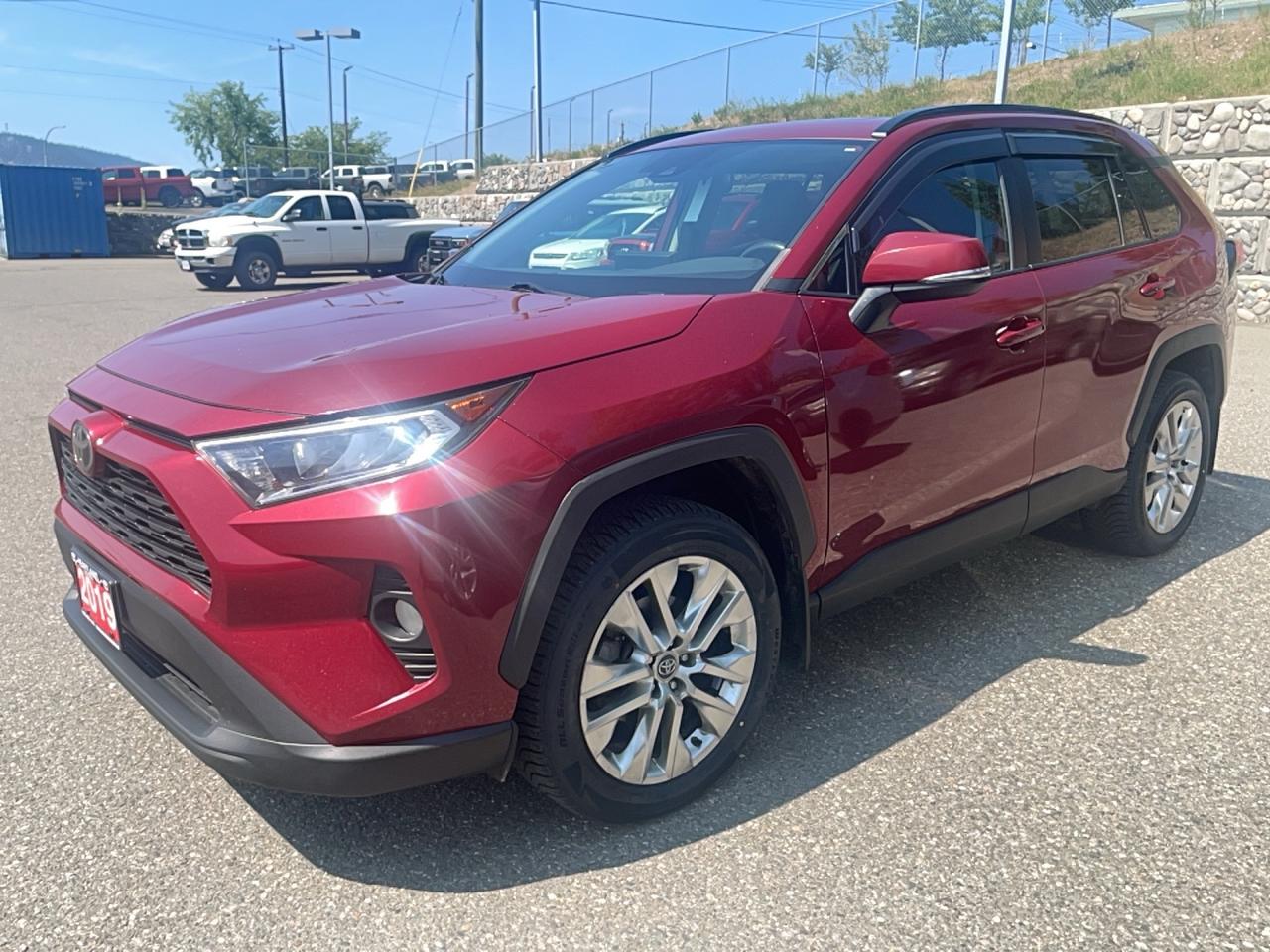 2019 Toyota RAV4 XLE Premium Photo