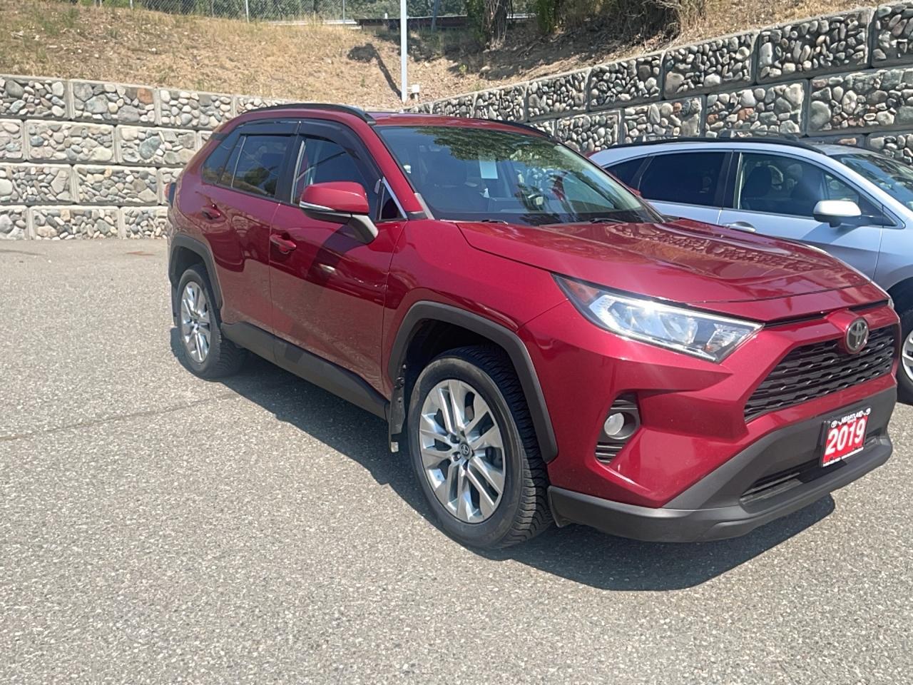 2019 Toyota RAV4 XLE Premium Photo