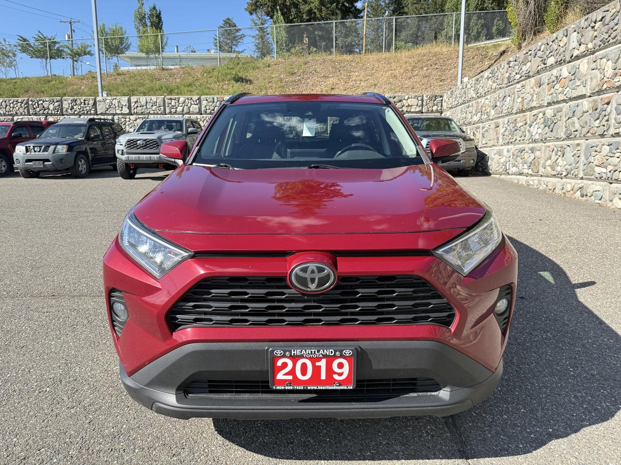 2019 Toyota RAV4 XLE Premium Photo1