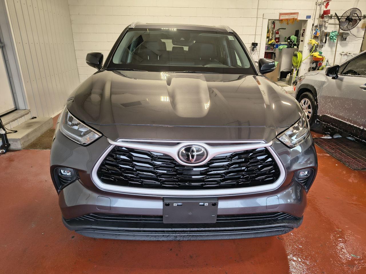 2024 Toyota Highlander XLE Photo0