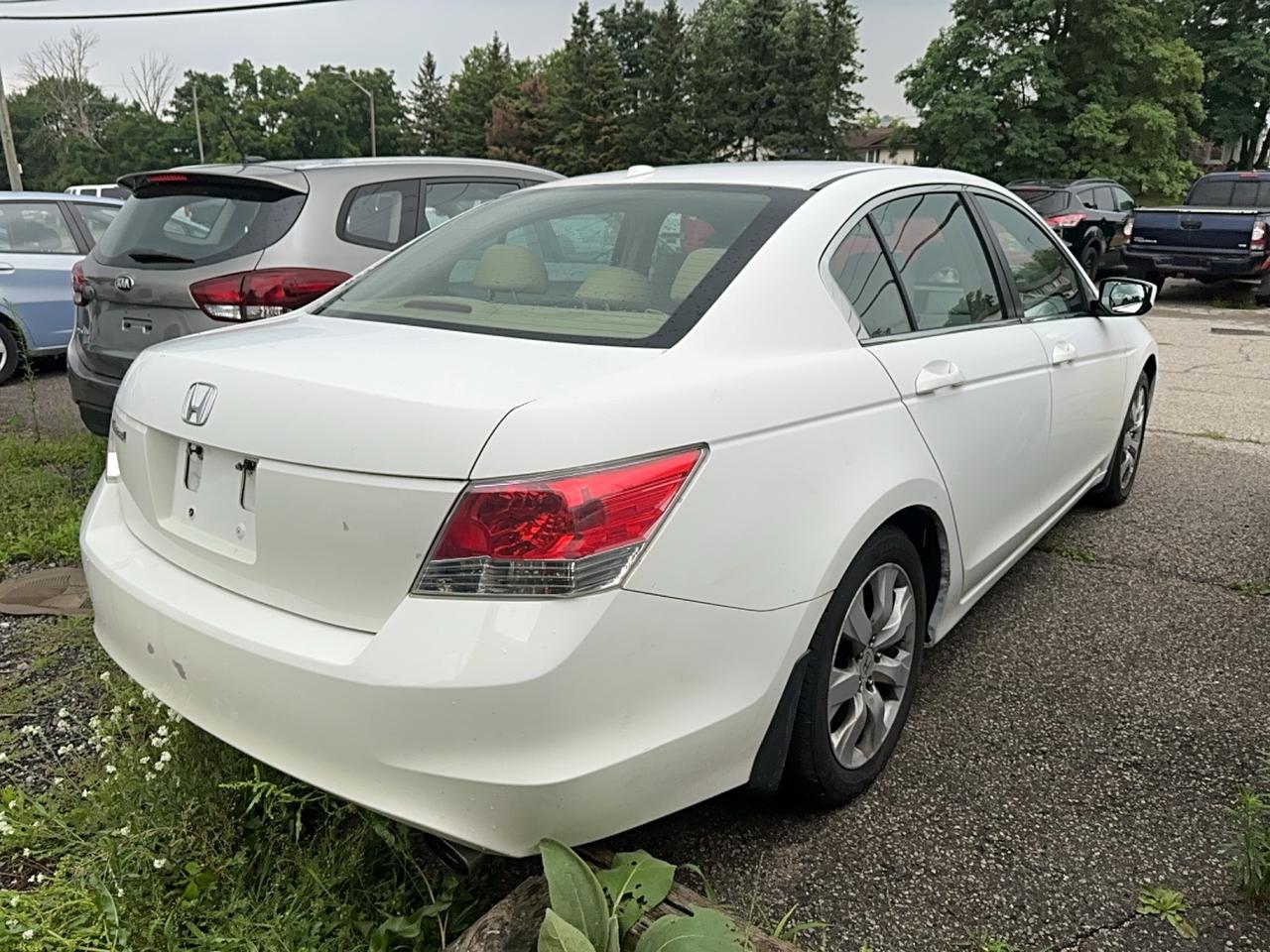 2009 Honda Accord EX-L Photo