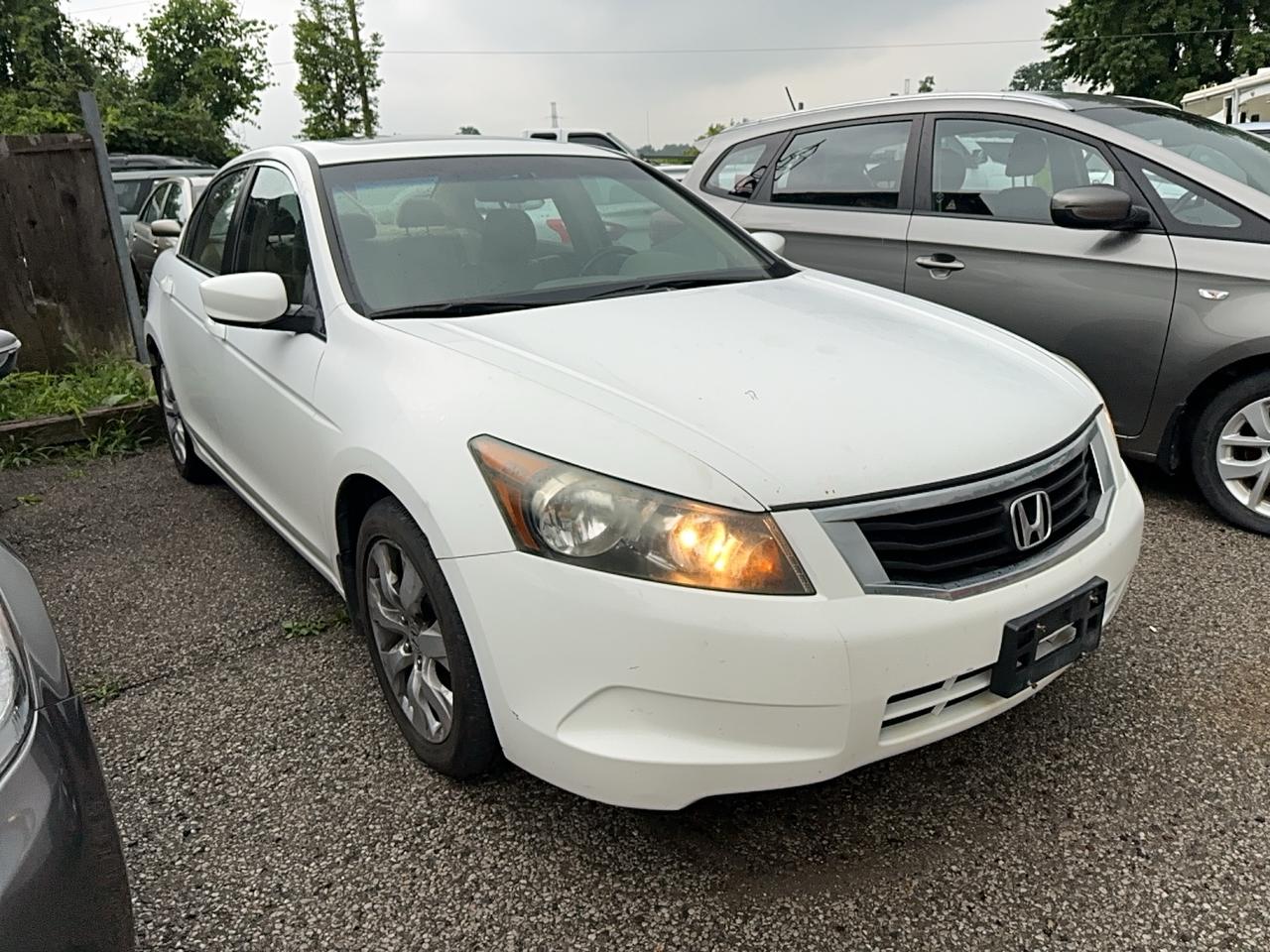 2009 Honda Accord EX-L Photo