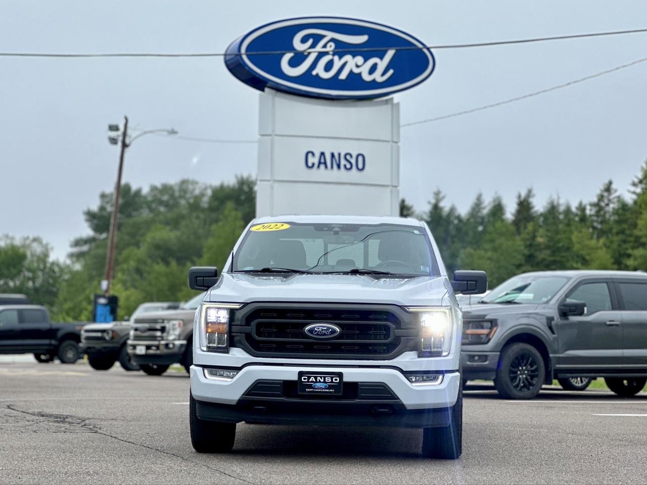 2022 Ford F-150 XLT 4WD SuperCrew 5.5' Box Photo1