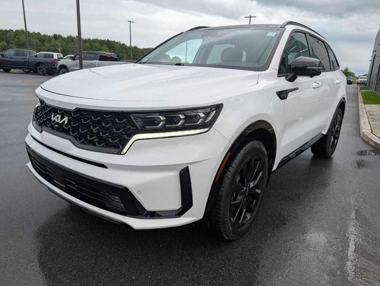 2022 Kia Sorento 2.5T SX w/Burgundy Leather Winter tires on rims Photo
