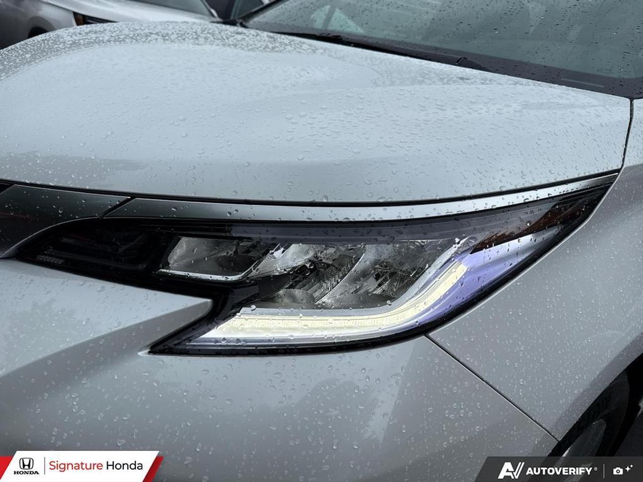 2026 Toyota Sienna LIMITED Photo