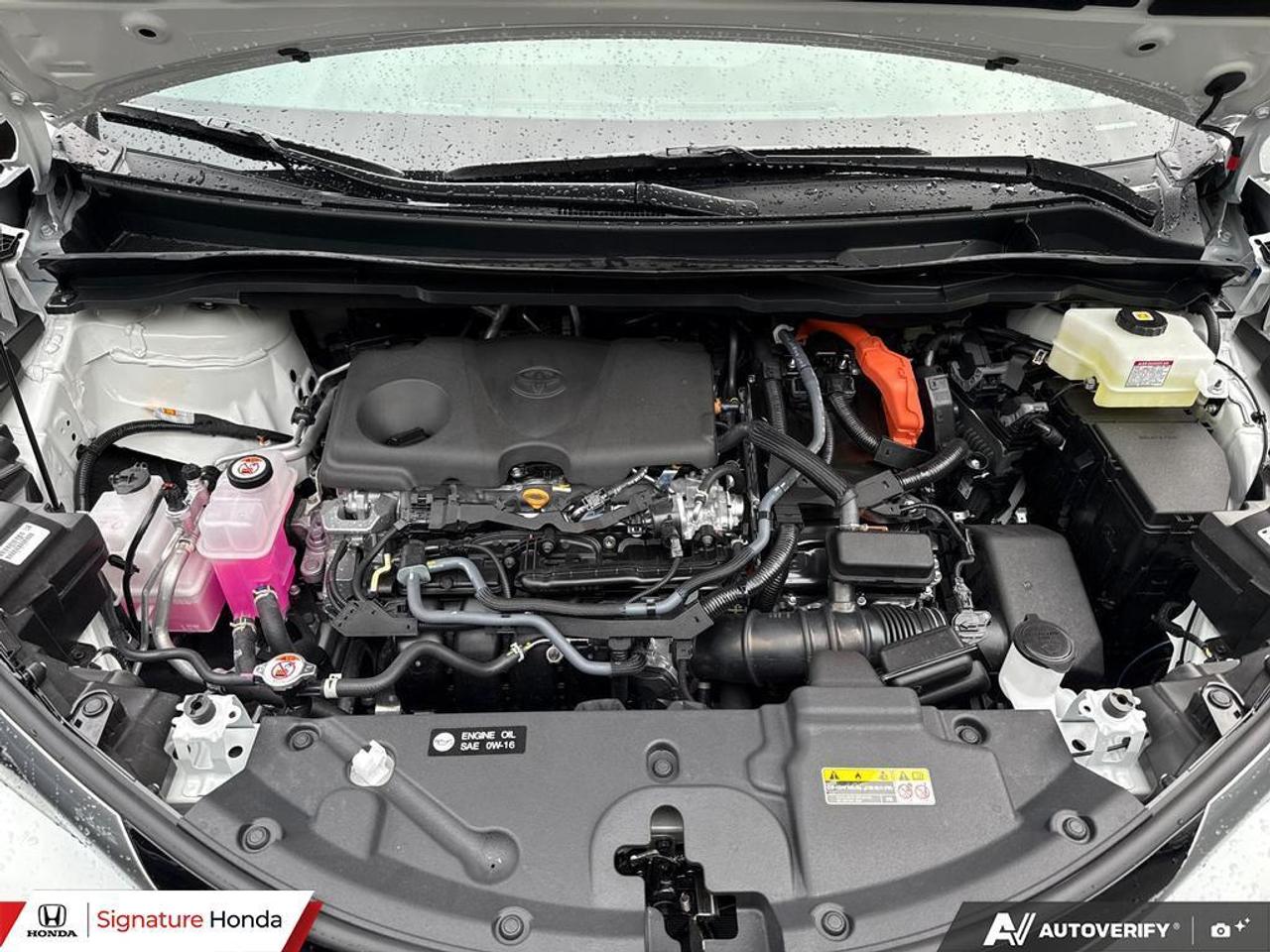 2026 Toyota Sienna LIMITED Photo