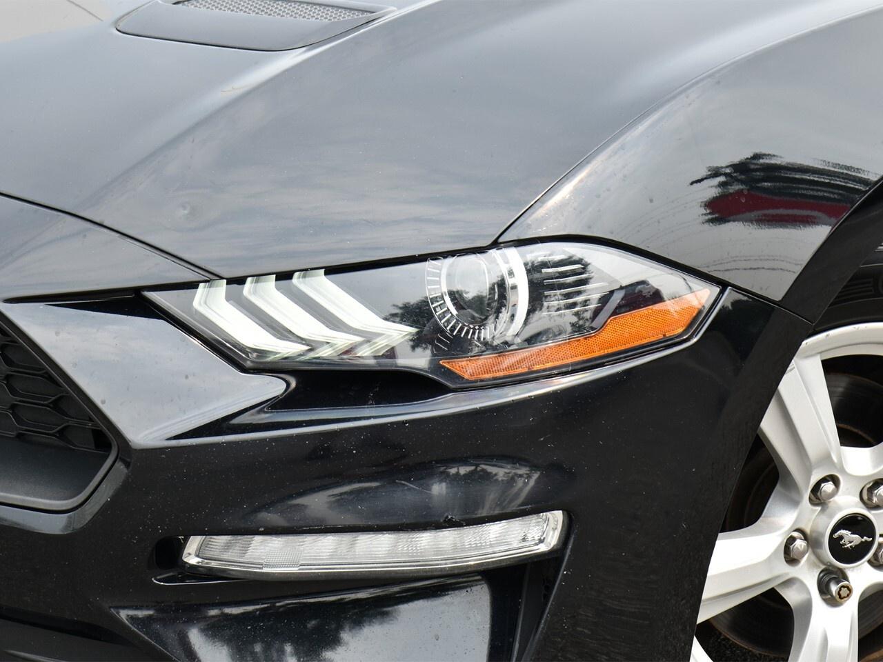 2018 Ford Mustang 310 HORSEPOWER, RWD FUN !! Photo