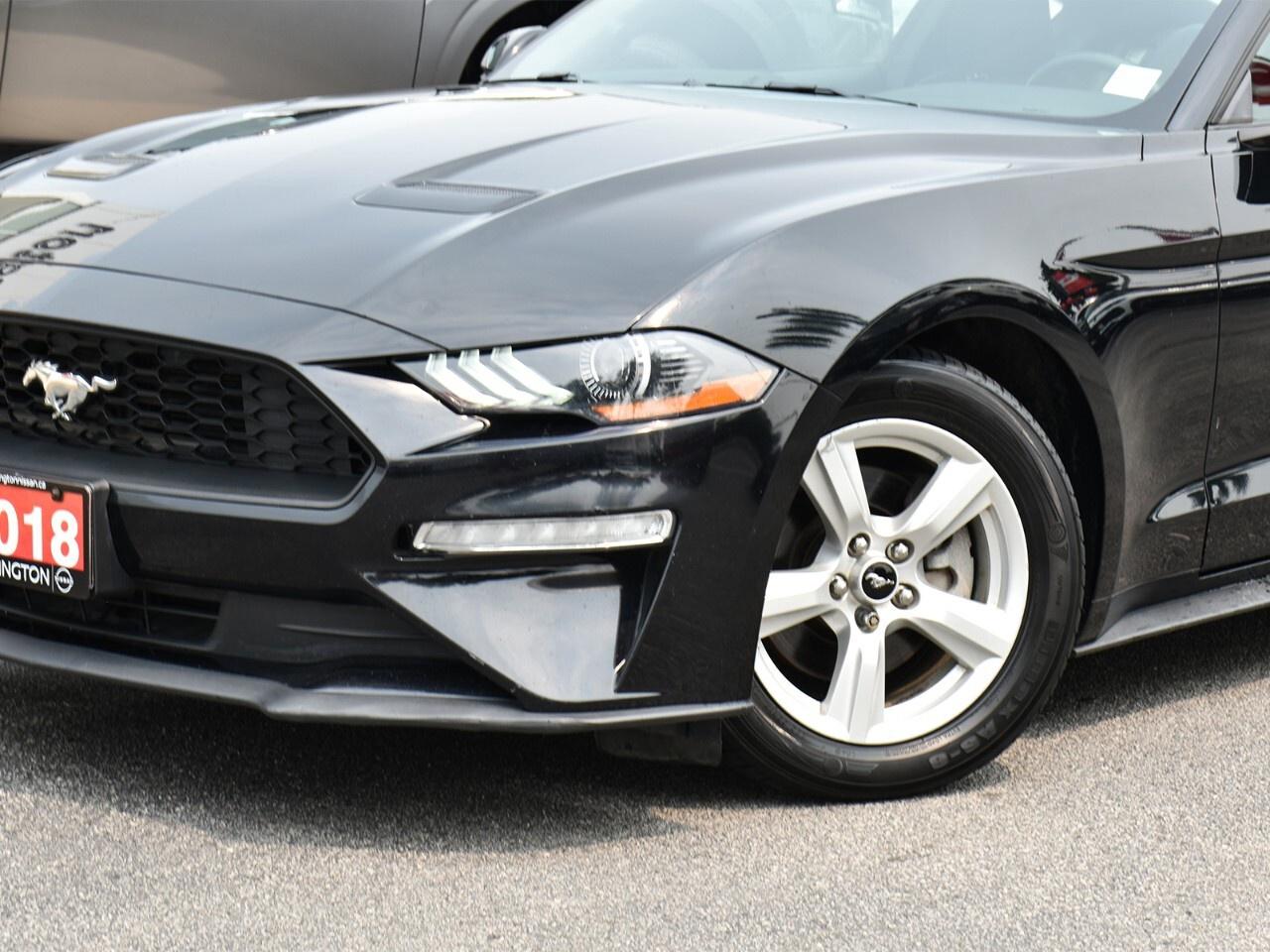 2018 Ford Mustang 310 HORSEPOWER, RWD FUN !! Photo