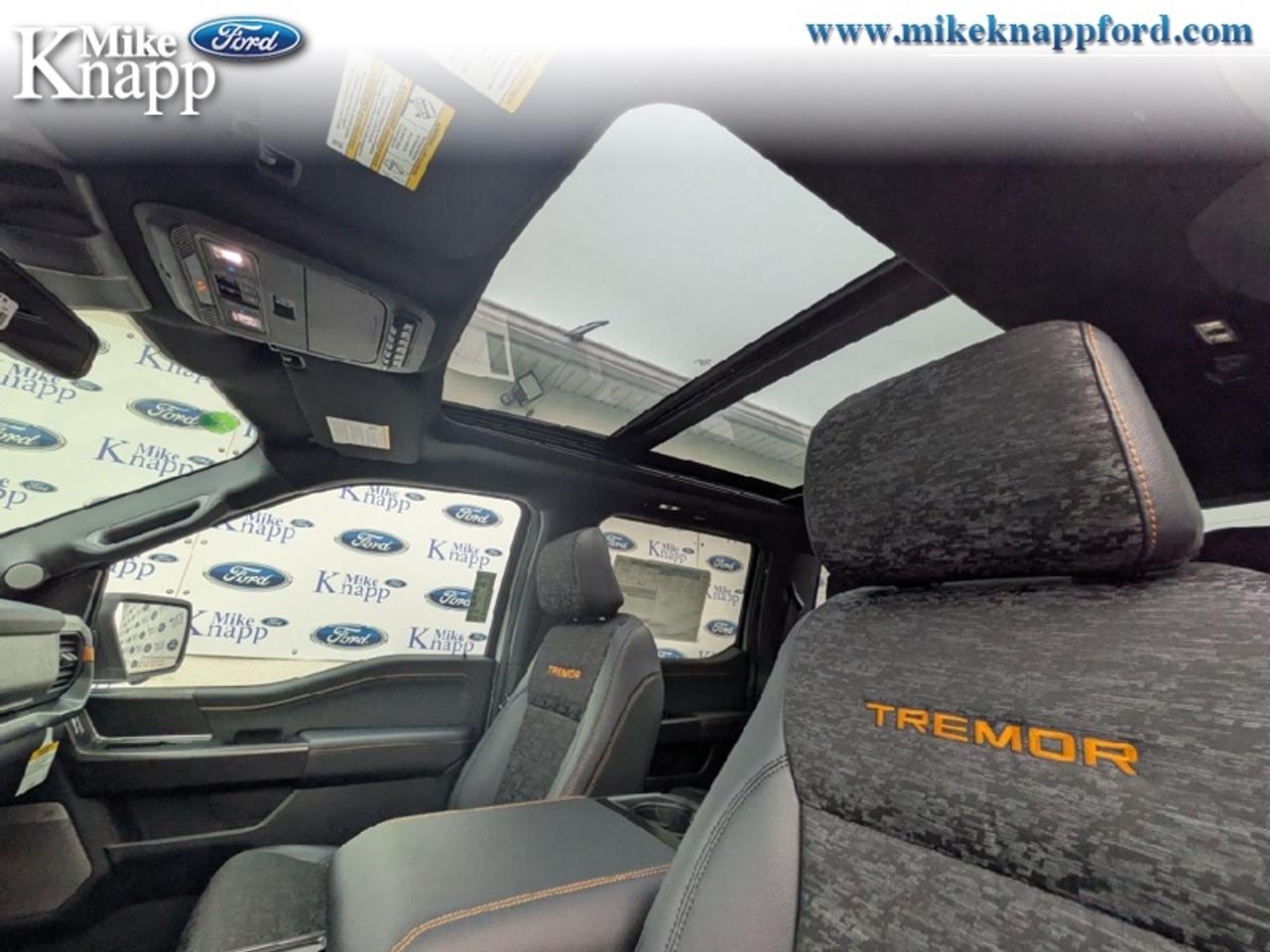 2026 Ford F-150 Tremor Photo