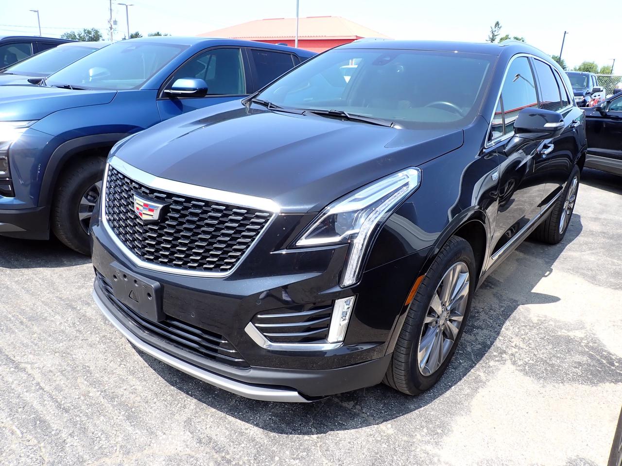 2024 Cadillac XT5 AWD Premium Luxury 4DR Photo