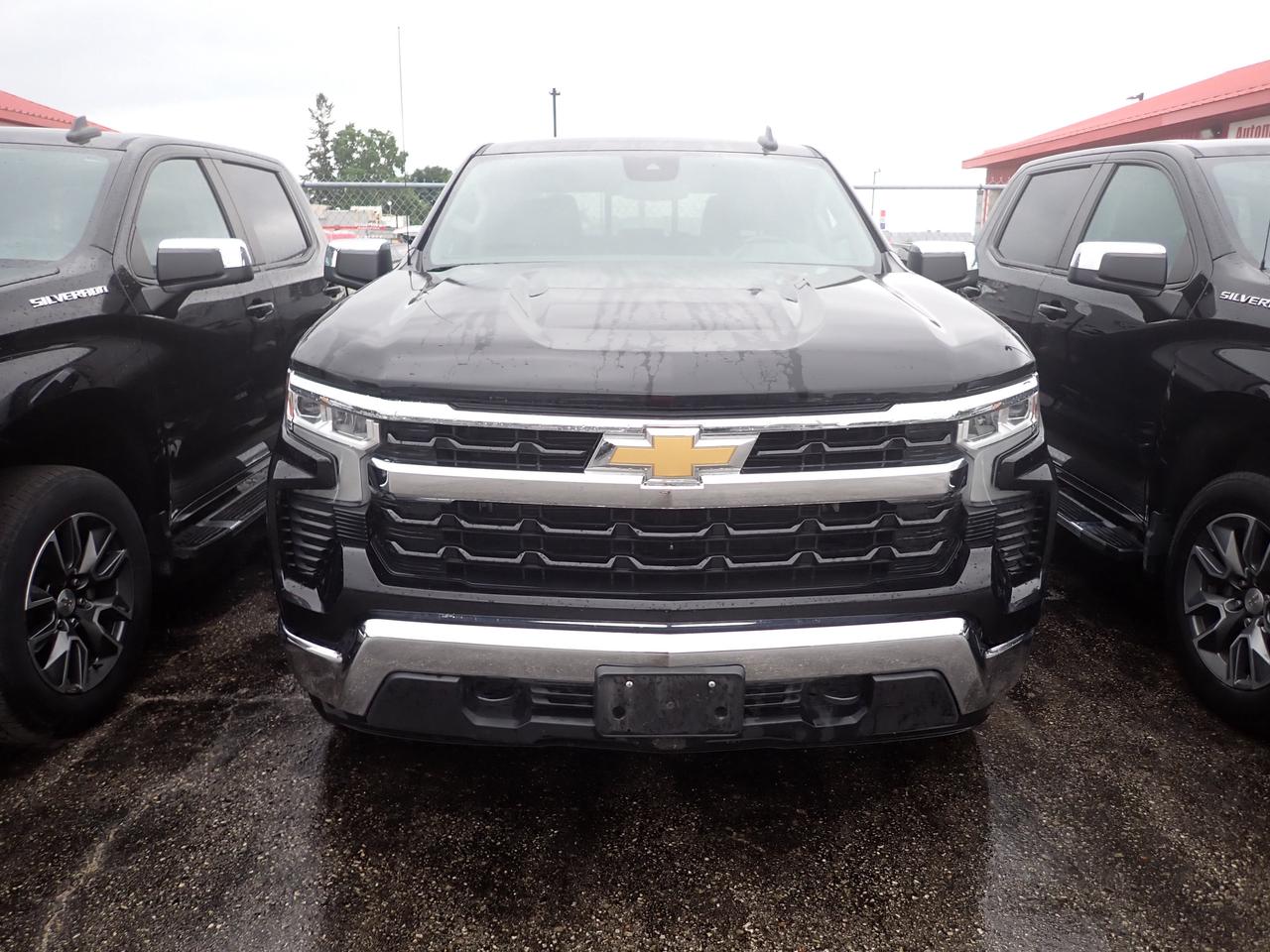 2023 Chevrolet Silverado 1500 LT Photo