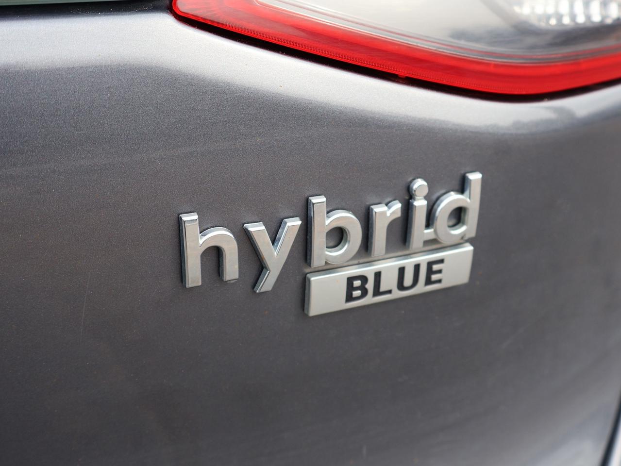 2019 Hyundai Ioniq Hybrid ESSENTIAL CERTIFIED *ACCIDENT FREE*HYUNDAI MAINTAIN* CAMERA BLUETOOTH HEATED SEATS CRUISE ALLOYS Photo