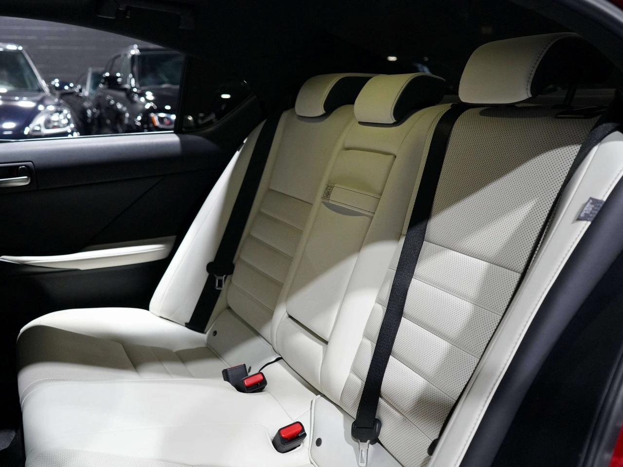 2024 Lexus IS IS 300|White Int Photo