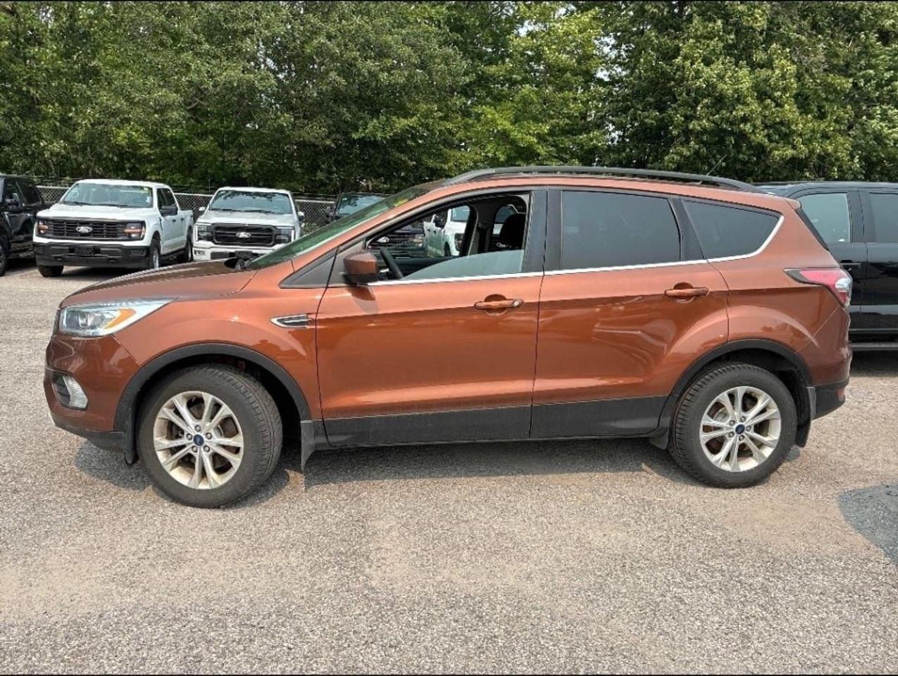 14476810