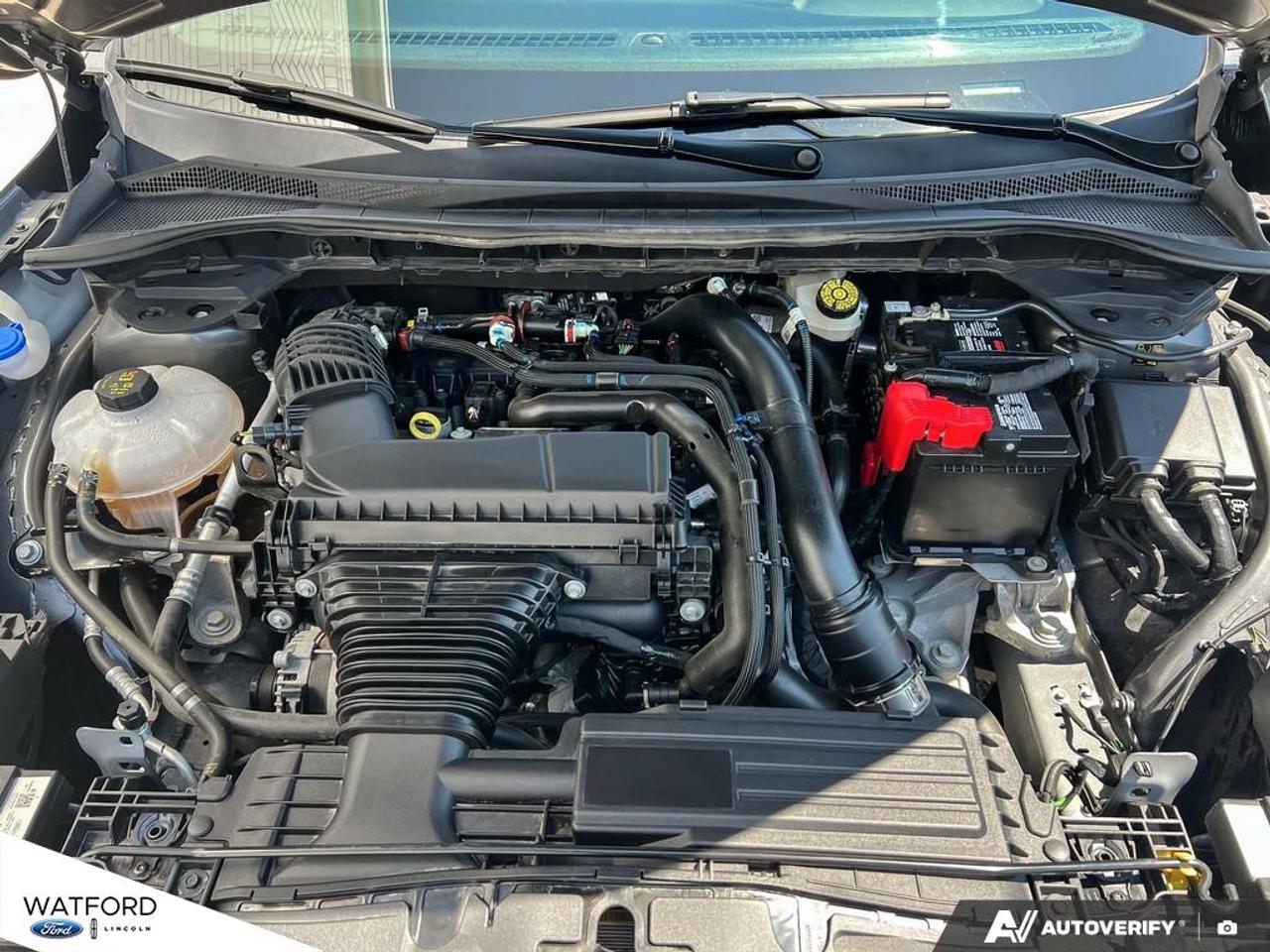 2024 Ford Escape ST-Line AWD Photo