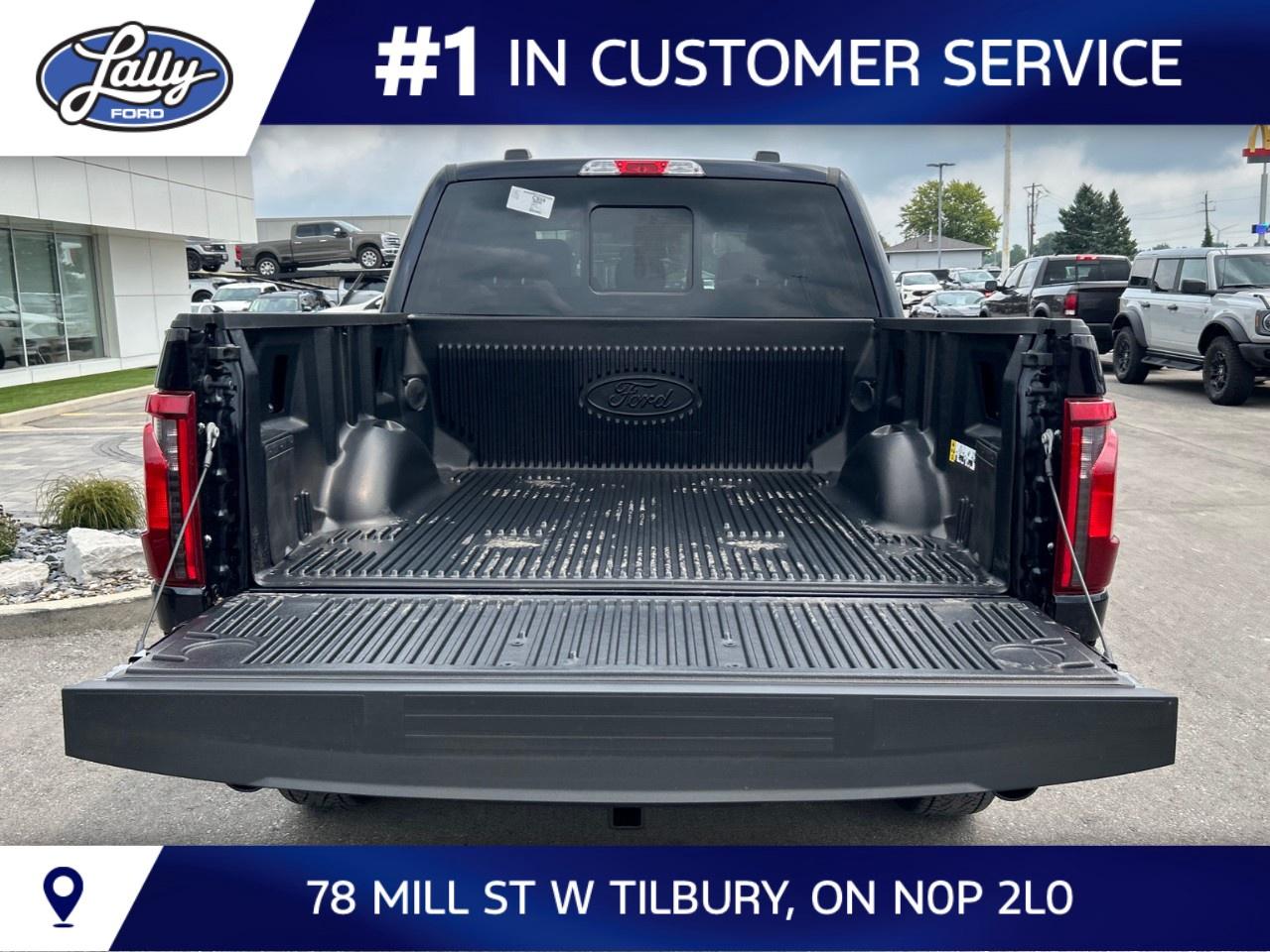 2026 Ford F-150 XLT 4WD SuperCrew 5.5' Box Photo4