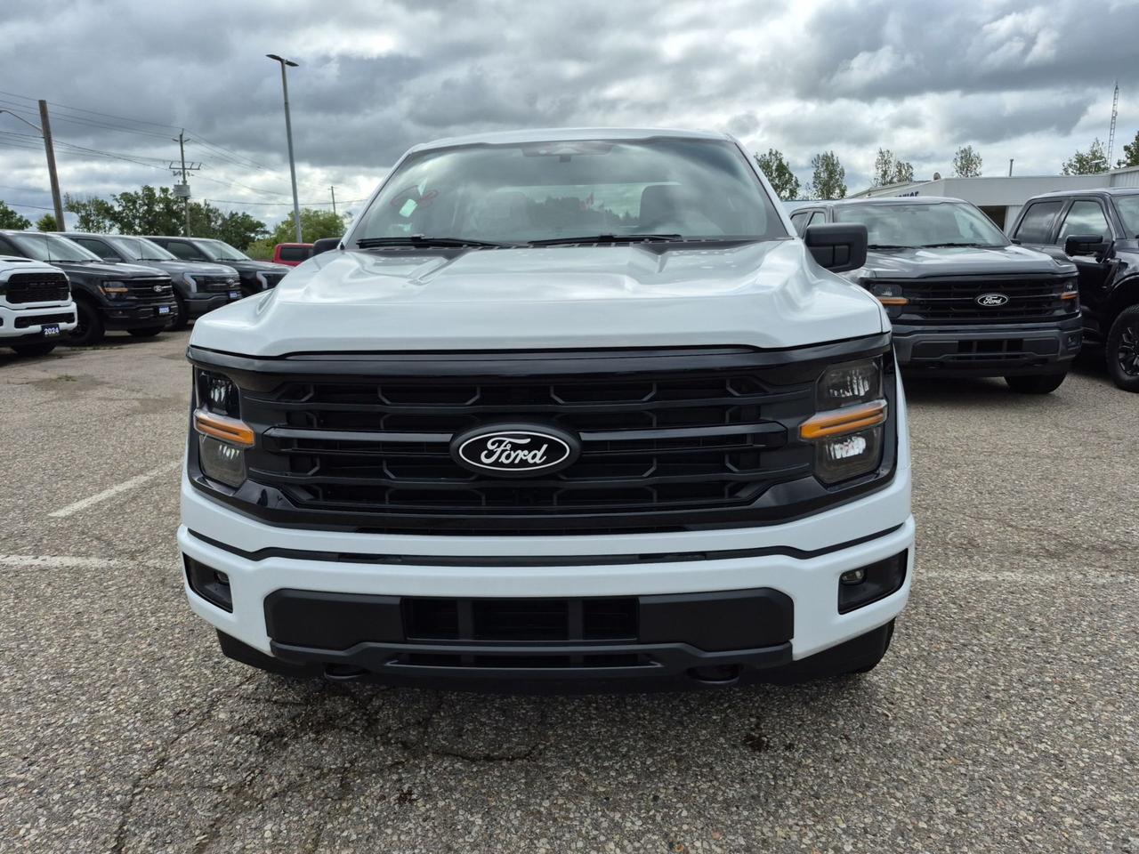 2026 Ford F-150 XLT, BLACK APPEARANCE PKG, TOW/HAUL PKG, SYNC4 Photo