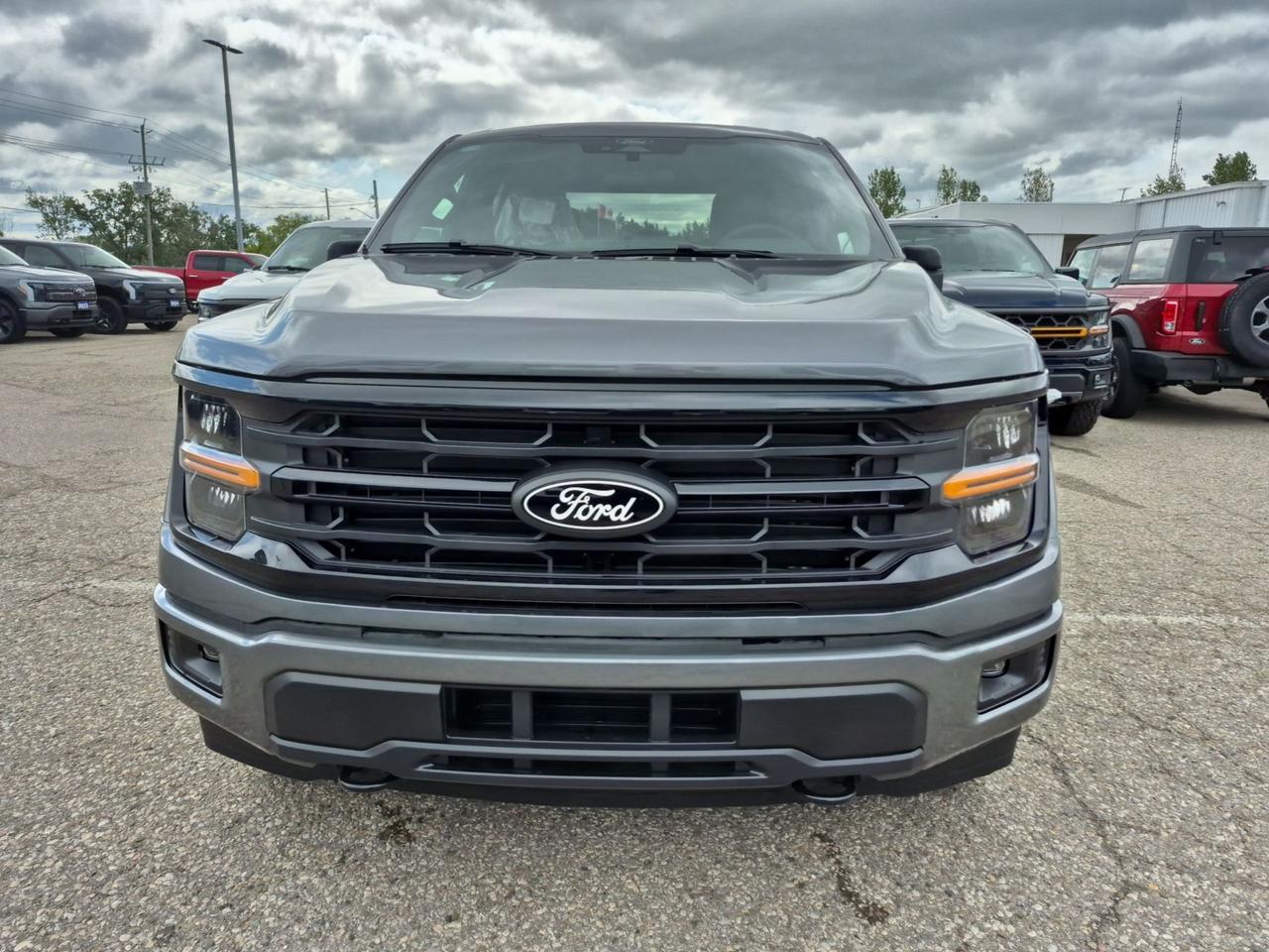 2026 Ford F-150 XLT, BLACK APPEARANCE PKG, TOW/HAUL PKG, SYNC4 Photo1