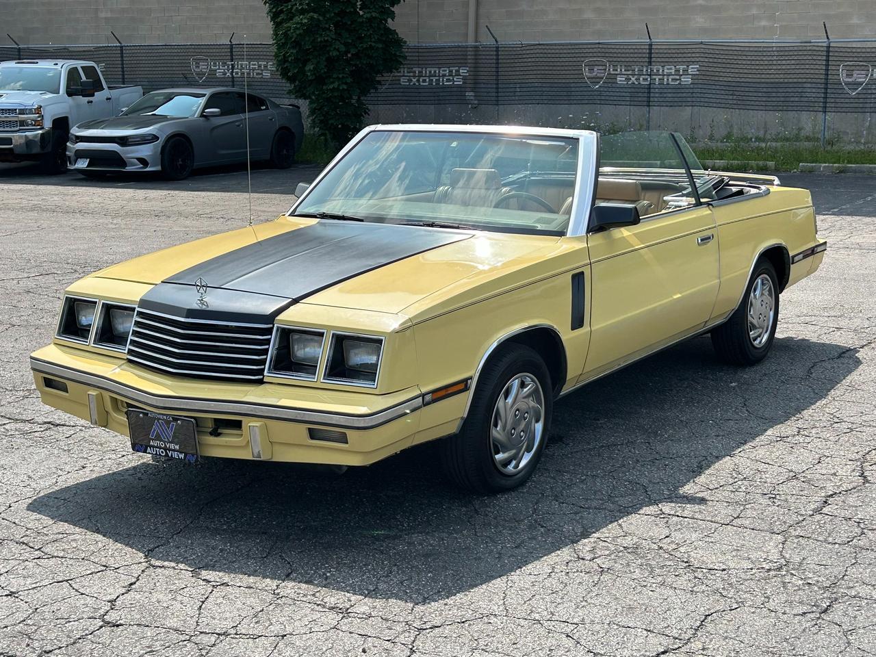 1985 Dodge 600 Convertible *RARE CLASSIC DODGE* Photo