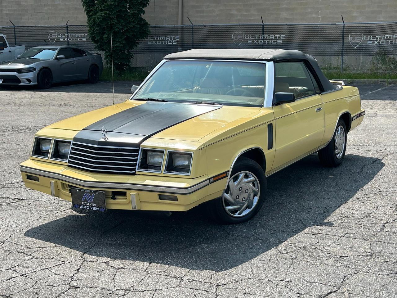 <p dir=ltr>JUST ARRIVED!!</p><p dir=ltr>1985 Dodge 600</p><p dir=ltr>HARD TO FIND CLASSIC!!</p><p dir=ltr>The 1985 Dodge 600, equipped with the naturally aspirated (N/A) 2.2L inline-four engine, was the reliable workhorse of the K-car platform. It produced 94 to 96 horsepower and featured Chryslers Electronic Fuel Injection (EFI), often paired with the rugged 3-speed TorqueFlite automatic transmission.</p><p dir=ltr><strong>Key Specs & Data:</strong></p><p dir=ltr><strong>Engine Type: </strong>2.2L SOHC Inline-4 (Naturally Aspirated).</p><p dir=ltr><strong>Horsepower:</strong> 94 hp @ 5,200 rpm.</p><p dir=ltr><strong>Torque: </strong>117 lb-ft @ 3,200 rpm.</p><p dir=ltr><strong>Fuel Delivery: </strong>Throttle Body Injection (TBI).</p><p dir=ltr><strong>Transmission: </strong>3-speed automatic (TorqueFlite A413).</p><p dir=ltr><strong>Performance & Economy:</strong></p><p dir=ltr><strong>0-100 kph:</strong> ~12-14 seconds.</p><p dir=ltr><strong>Top Speed:</strong> ~168 kph.</p><p dir=ltr><strong>Fuel Economy:</strong> ~10.6 L/100km City / 8.4 L/100km Highway.</p><p dir=ltr style=line-height: 1.2; margin-top: 12pt; margin-bottom: 12pt;>&nbsp;</p><p dir=ltr style=line-height: 1.2; margin-top: 12pt; margin-bottom: 12pt;><span style=font-size: 11pt; font-family: Roboto,sans-serif; color: #000000; background-color: transparent; font-weight: 400; font-style: italic; font-variant: normal; text-decoration: none; vertical-align: baseline; white-space: pre-wrap;>FINANCING AND LEASING AVAILABLE ON ALL CERTIFIED VEHICLES.</span></p><p dir=ltr style=line-height: 1.2; margin-top: 12pt; margin-bottom: 12pt;><span style=font-size: 11pt; font-family: Roboto,sans-serif; color: #000000; background-color: transparent; font-weight: 400; font-style: italic; font-variant: normal; text-decoration: none; vertical-align: baseline; white-space: pre-wrap;>HST and Licensing Fees are to be charged on all vehicles.&nbsp;</span></p><p dir=ltr style=line-height: 1.2; margin-top: 12pt; margin-bottom: 12pt;><span style=font-size: 11pt; font-family: Roboto,sans-serif; color: #000000; background-color: transparent; font-weight: 400; font-style: italic; font-variant: normal; text-decoration: none; vertical-align: baseline; white-space: pre-wrap;>All CERTIFIED vehicles come with a 36-day Safety Guarantee.</span></p><p dir=ltr style=line-height: 1.2; margin-top: 12pt; margin-bottom: 12pt;><span style=font-size: 11pt; font-family: Roboto,sans-serif; color: #000000; background-color: transparent; font-weight: 400; font-style: italic; font-variant: normal; text-decoration: none; vertical-align: baseline; white-space: pre-wrap;>ALL CERTIFIED VEHICLES COME WITH A BRONZE GLOBAL WARRANTY (3 MONTH / 3,000 KM / $1,000 PER CLAIM)</span></p><p dir=ltr style=line-height: 1.2; margin-top: 12pt; margin-bottom: 12pt;><span style=font-size: 11pt; font-family: Roboto,sans-serif; color: #000000; background-color: transparent; font-weight: 400; font-style: italic; font-variant: normal; text-decoration: none; vertical-align: baseline; white-space: pre-wrap;>EXTENDED GLOBAL WARRANTY OPTIONS AVAILABLE ON ALL CERTIFIED VEHICLES.</span></p><p dir=ltr style=line-height: 1.2; margin-top: 12pt; margin-bottom: 12pt;><span style=font-size: 11pt; font-family: Roboto,sans-serif; color: #000000; background-color: transparent; font-weight: 400; font-style: italic; font-variant: normal; text-decoration: none; vertical-align: baseline; white-space: pre-wrap;>Auto View is located at 590 South Service Road Stoney Creek, only minutes off the QEW Exit 83 Fruitland Road!</span></p><p dir=ltr style=line-height: 1.2; margin-top: 12pt; margin-bottom: 12pt;><span style=font-size: 11pt; font-family: Roboto,sans-serif; color: #000000; background-color: transparent; font-weight: 400; font-style: italic; font-variant: normal; text-decoration: none; vertical-align: baseline; white-space: pre-wrap;>Contact us VIA email, call, or text!</span></p><p dir=ltr style=line-height: 1.2; margin-top: 12pt; margin-bottom: 12pt;><span style=font-size: 11pt; font-family: Roboto,sans-serif; color: #000000; background-color: transparent; font-weight: 400; font-style: italic; font-variant: normal; text-decoration: none; vertical-align: baseline; white-space: pre-wrap;>sales@autoview.ca</span></p><p style=line-height: 1.2;><span id=docs-internal-guid-4ac04223-7fff-914d-3829-742cb49c2e1a></span></p><p dir=ltr style=line-height: 1.2; margin-top: 12pt; margin-bottom: 12pt;><span style=font-size: 11pt; font-family: Roboto,sans-serif; color: #000000; background-color: transparent; font-weight: 400; font-style: italic; font-variant: normal; text-decoration: none; vertical-align: baseline; white-space: pre-wrap;>905-379-4206</span></p>
