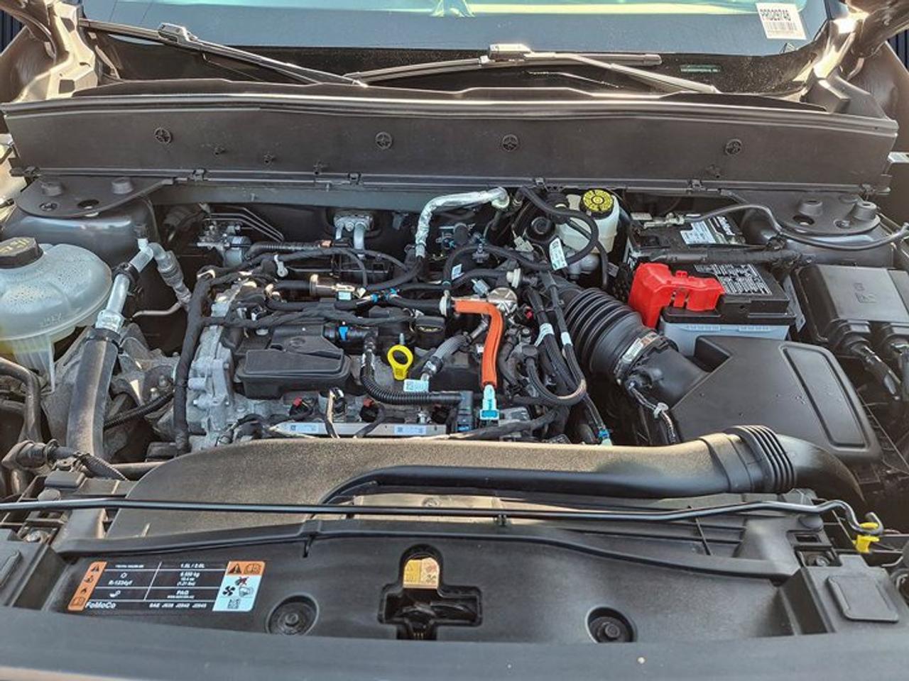 2023 Ford Bronco Sport 4x4 | CarPlay + Android Auto | Cruise Control | Rear Cam | Blind Spot | and More! Photo