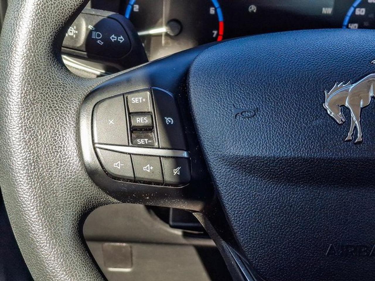 2023 Ford Bronco Sport 4x4 | CarPlay + Android Auto | Cruise Control | Rear Cam | Blind Spot | and More! Photo