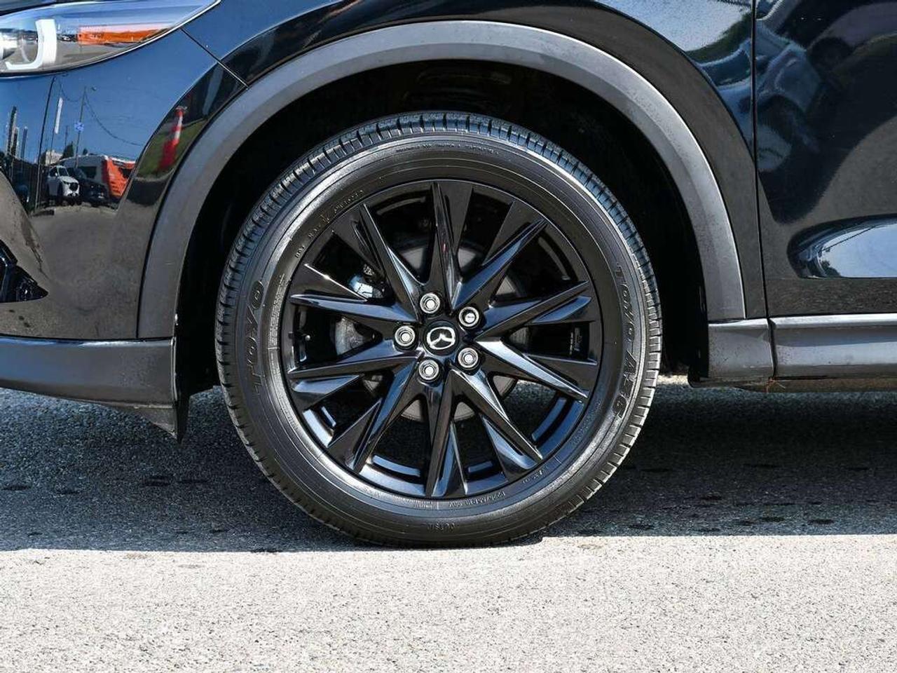 14480317