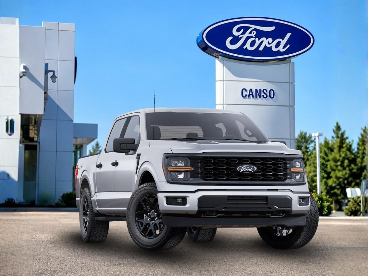 2025 Ford F-150 STX 4WD SuperCrew 5.5' Box Photo0