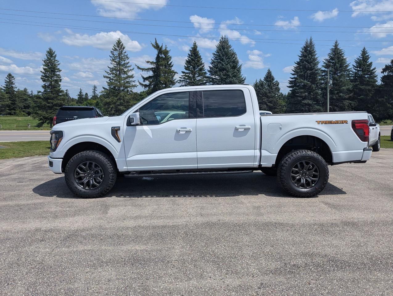 2026 Ford F-150 Tremor SuperCrew 402B 4x4 Photo2