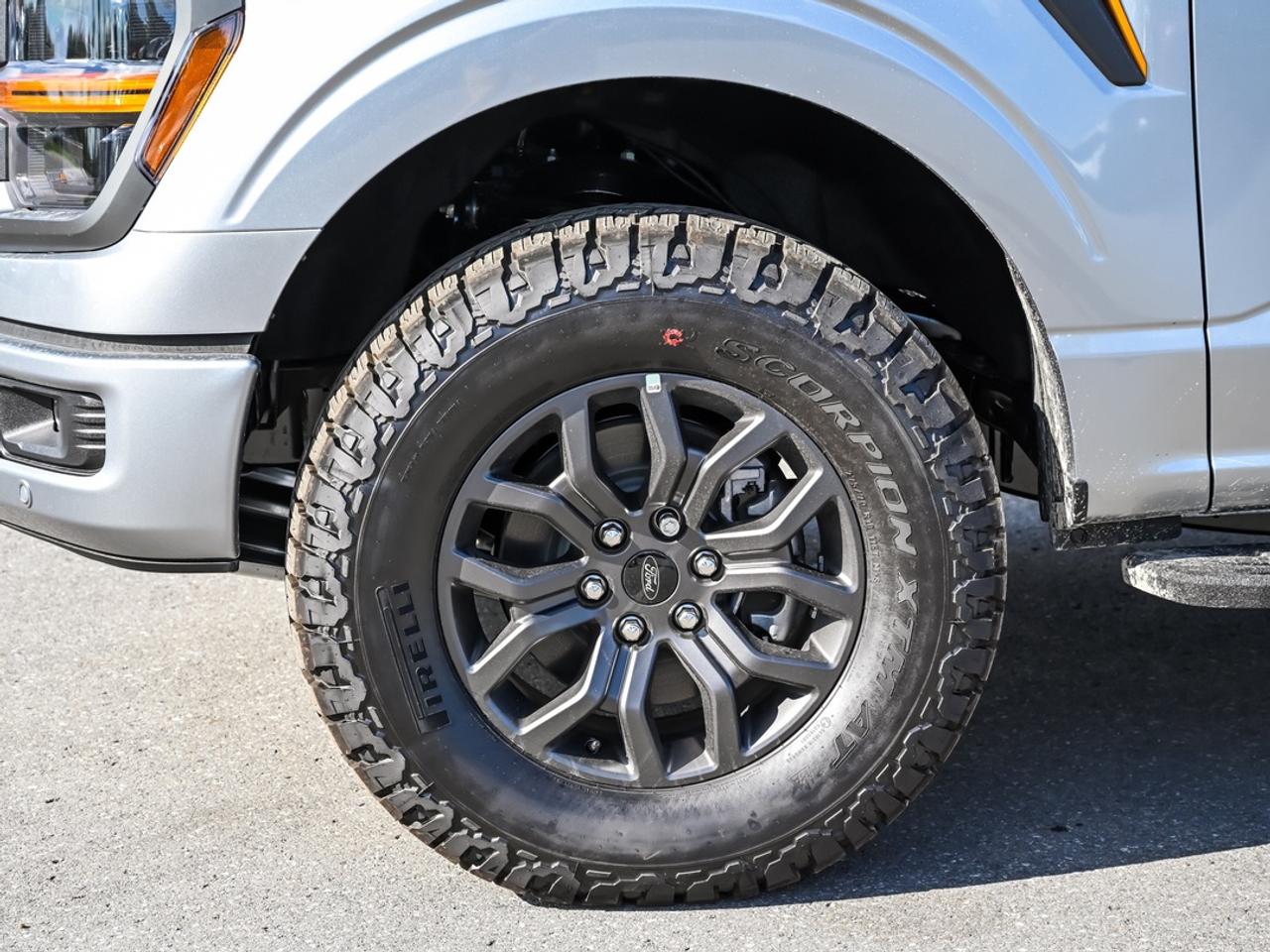 2026 Ford F-150 Tremor Photo