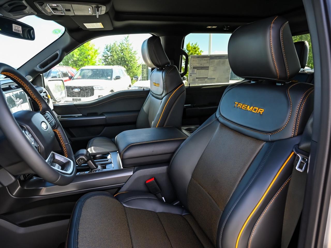 2026 Ford F-150 Tremor Photo