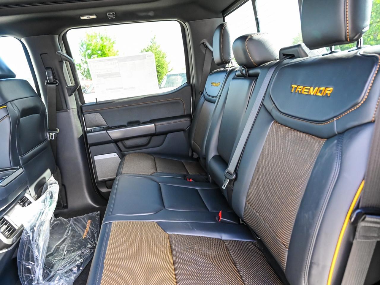 2026 Ford F-150 Tremor Photo