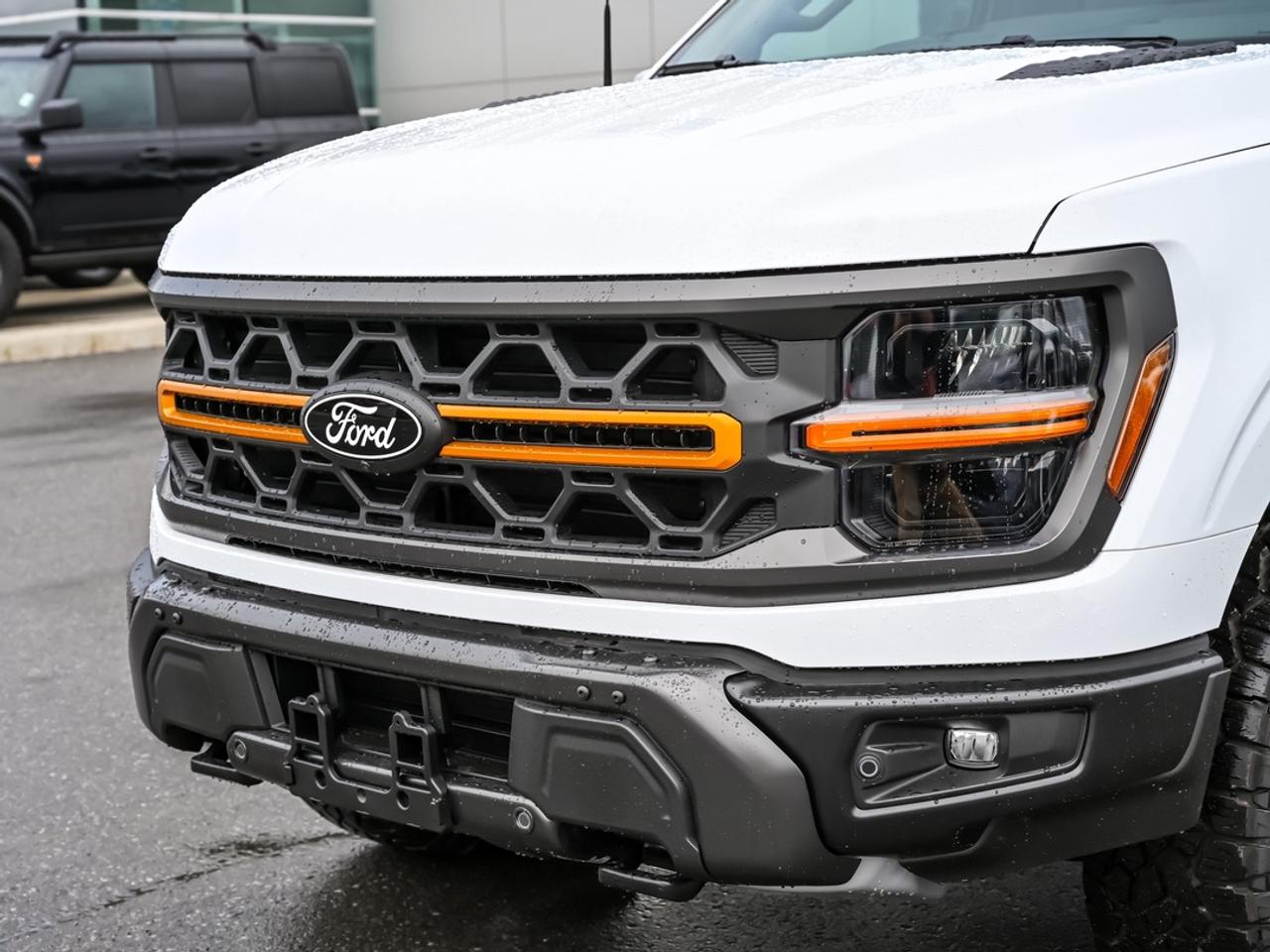 2026 Ford F-150 Tremor Photo