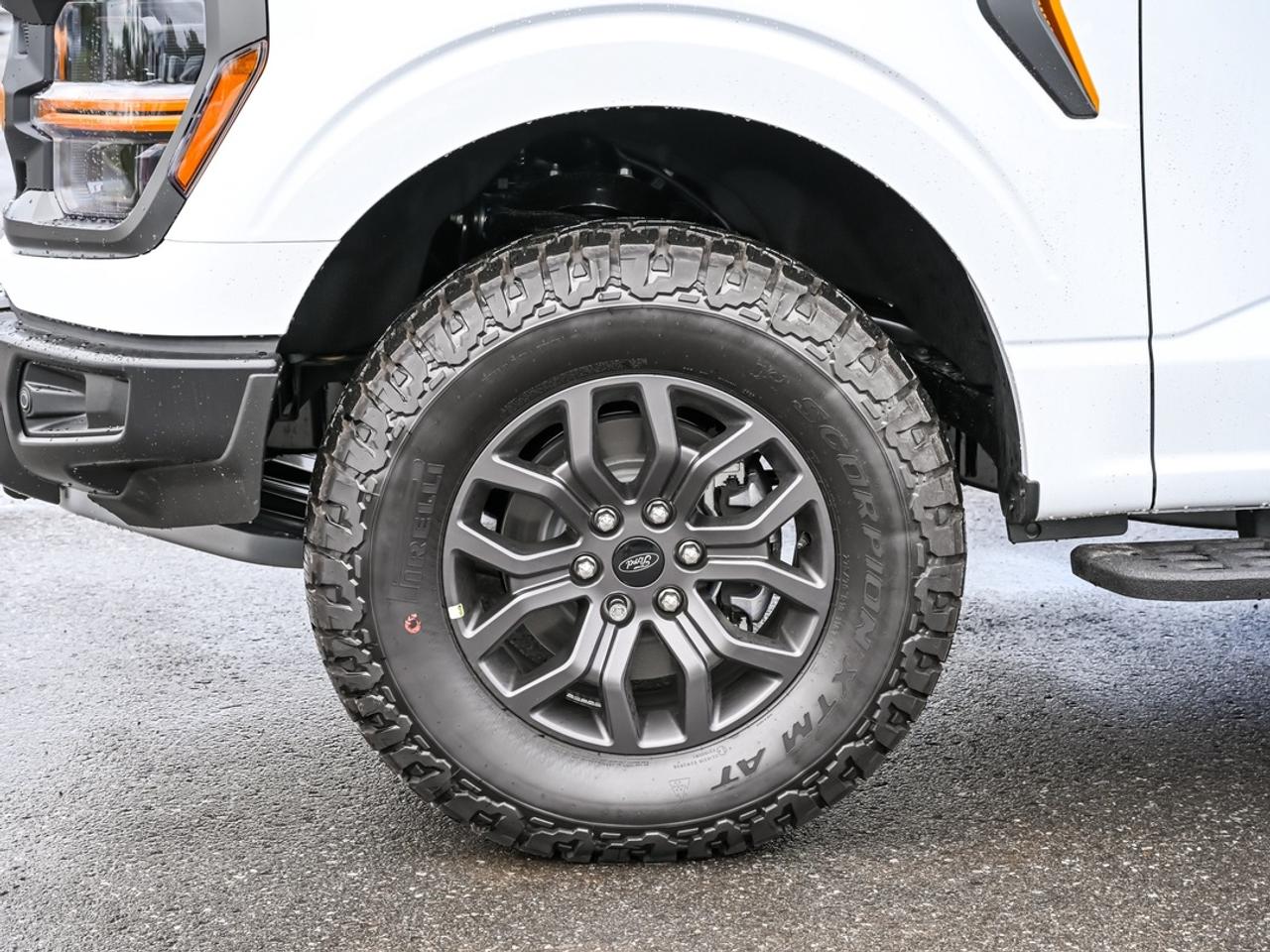 2026 Ford F-150 Tremor Photo
