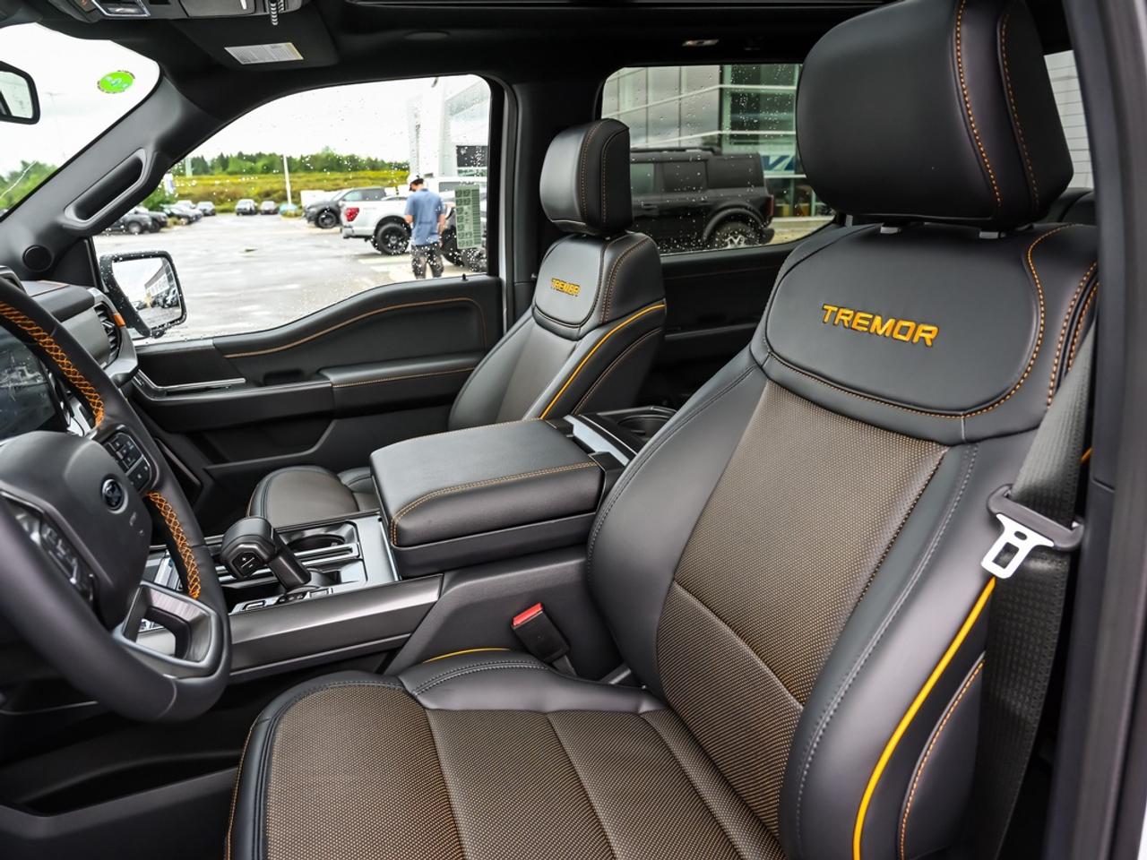 2026 Ford F-150 Tremor Photo