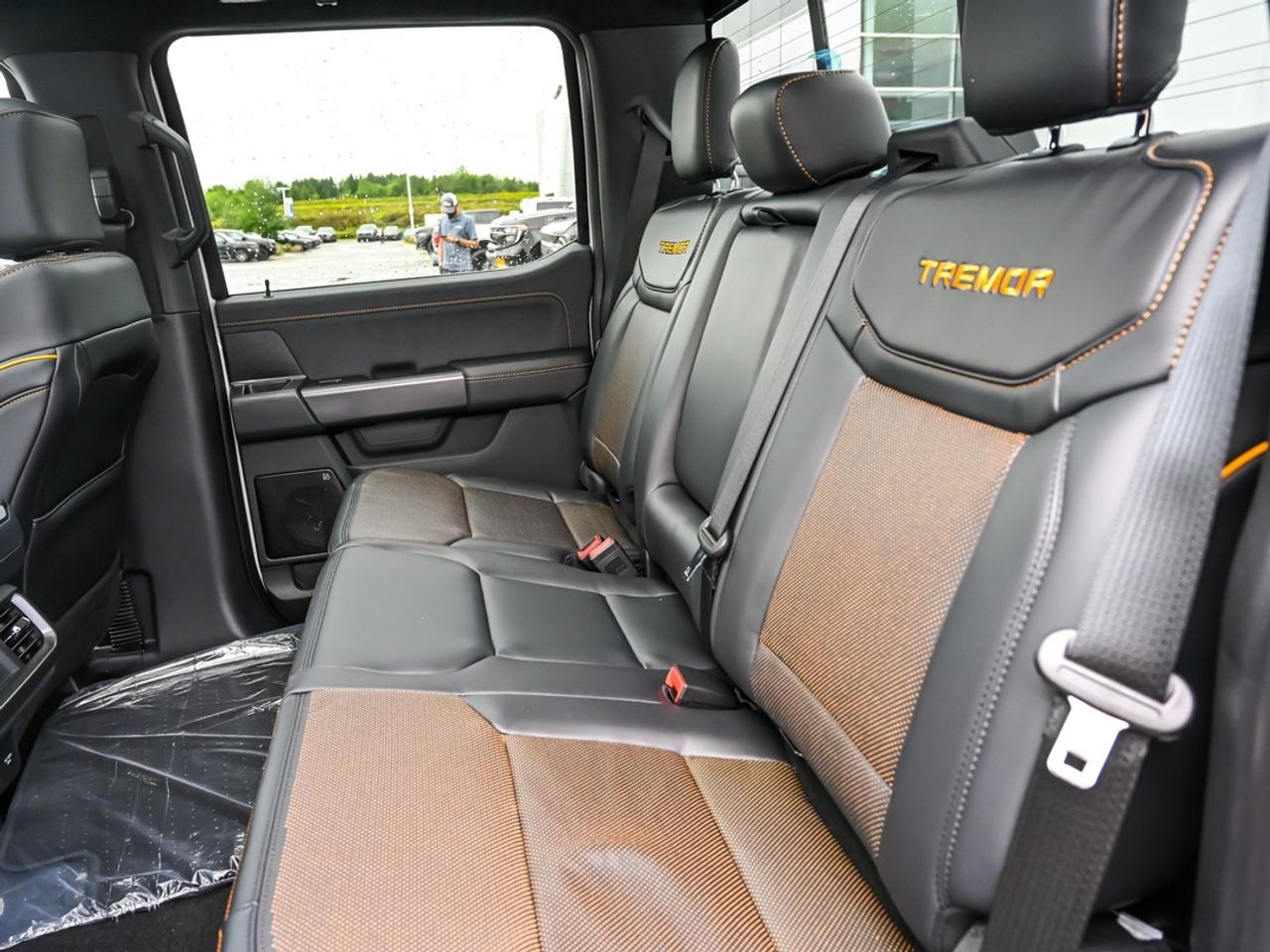 2026 Ford F-150 Tremor Photo