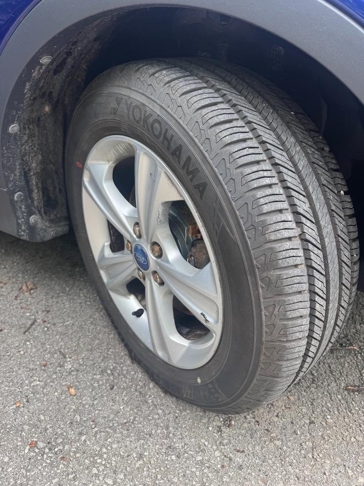 2013 Ford Escape SE Photo