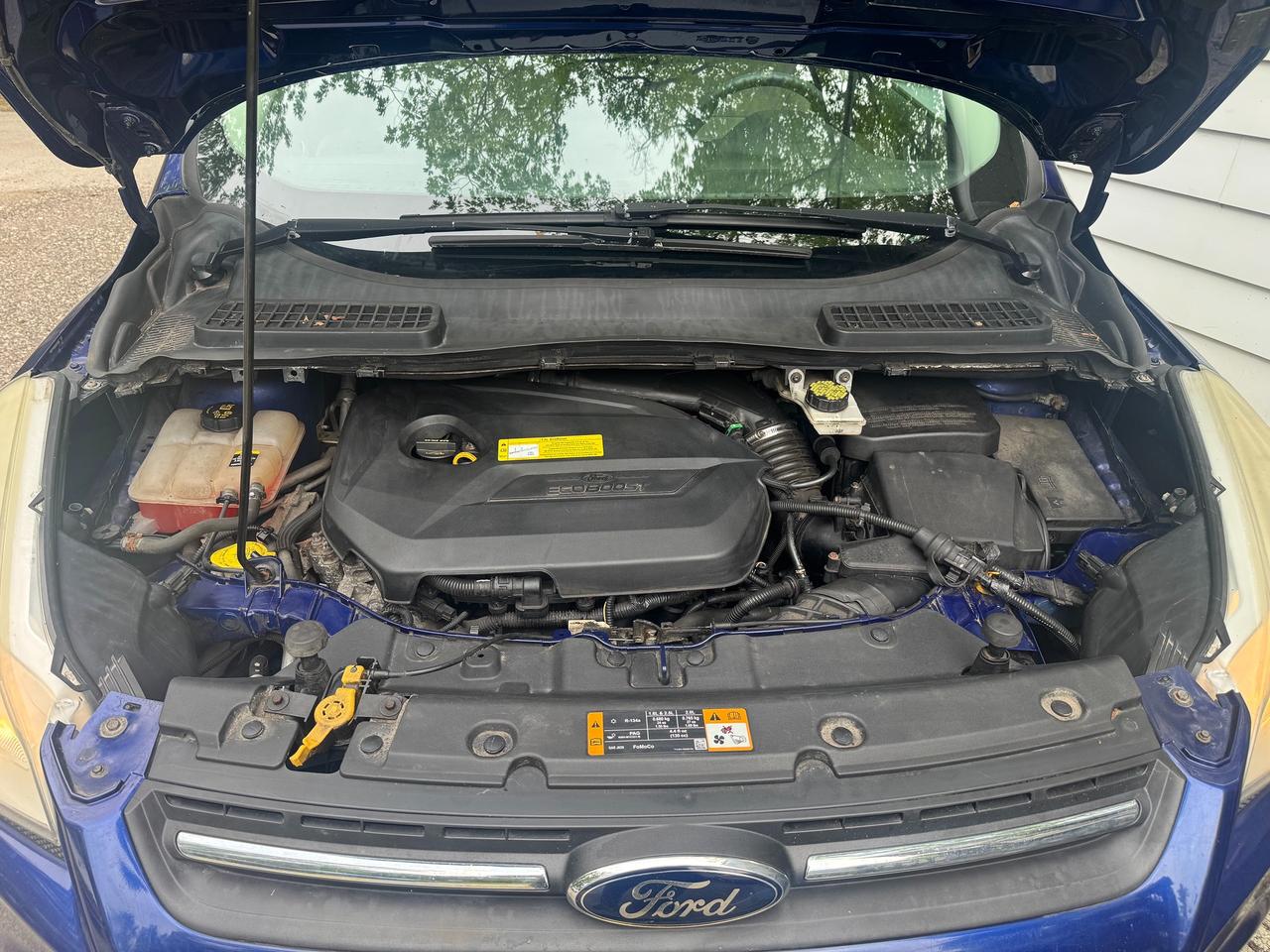 2013 Ford Escape SE Photo4